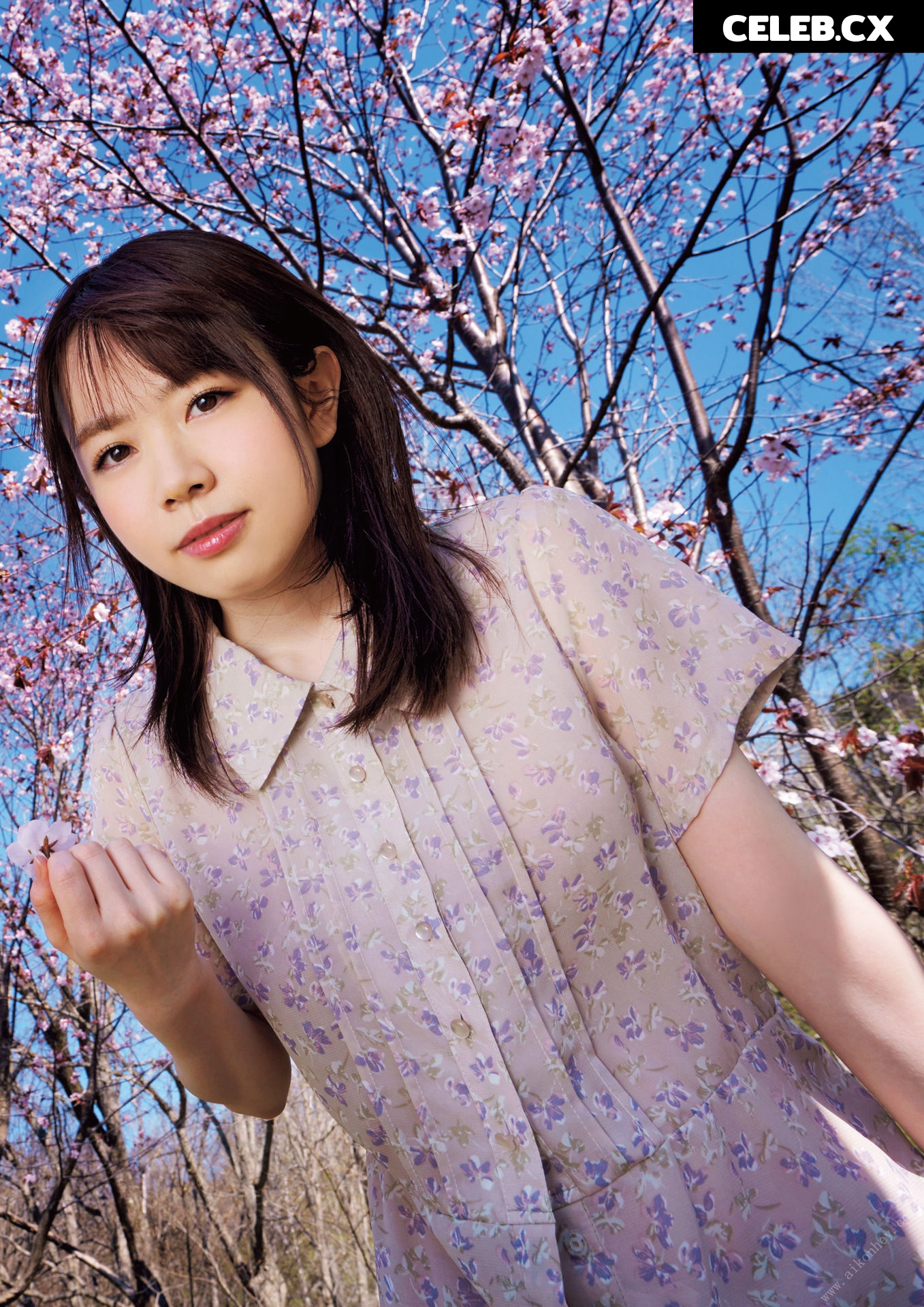 Sakura Miura Image 6884795