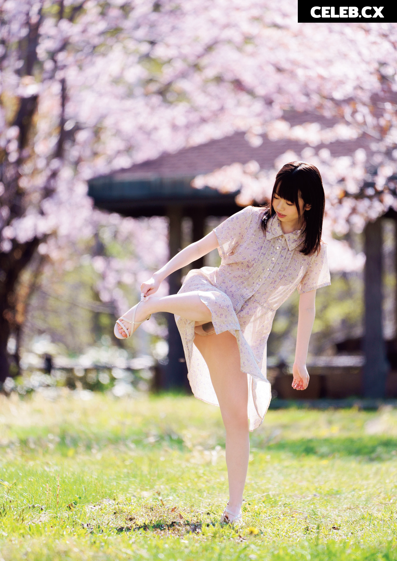 Sakura Miura Image 6884724