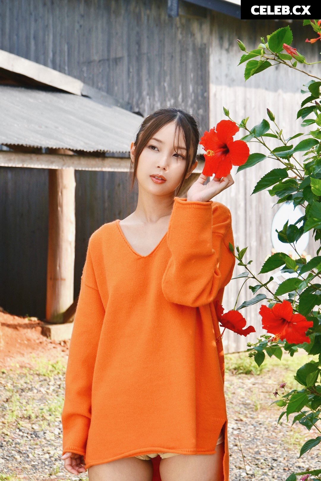 Yume Takeda | 竹田ゆめ | Mahiro Ichiki | 市来まひろ Image 6888435