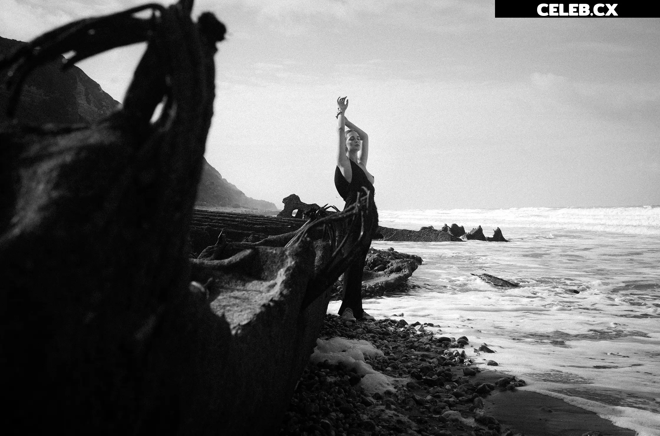 ann.cornel Image 6977732