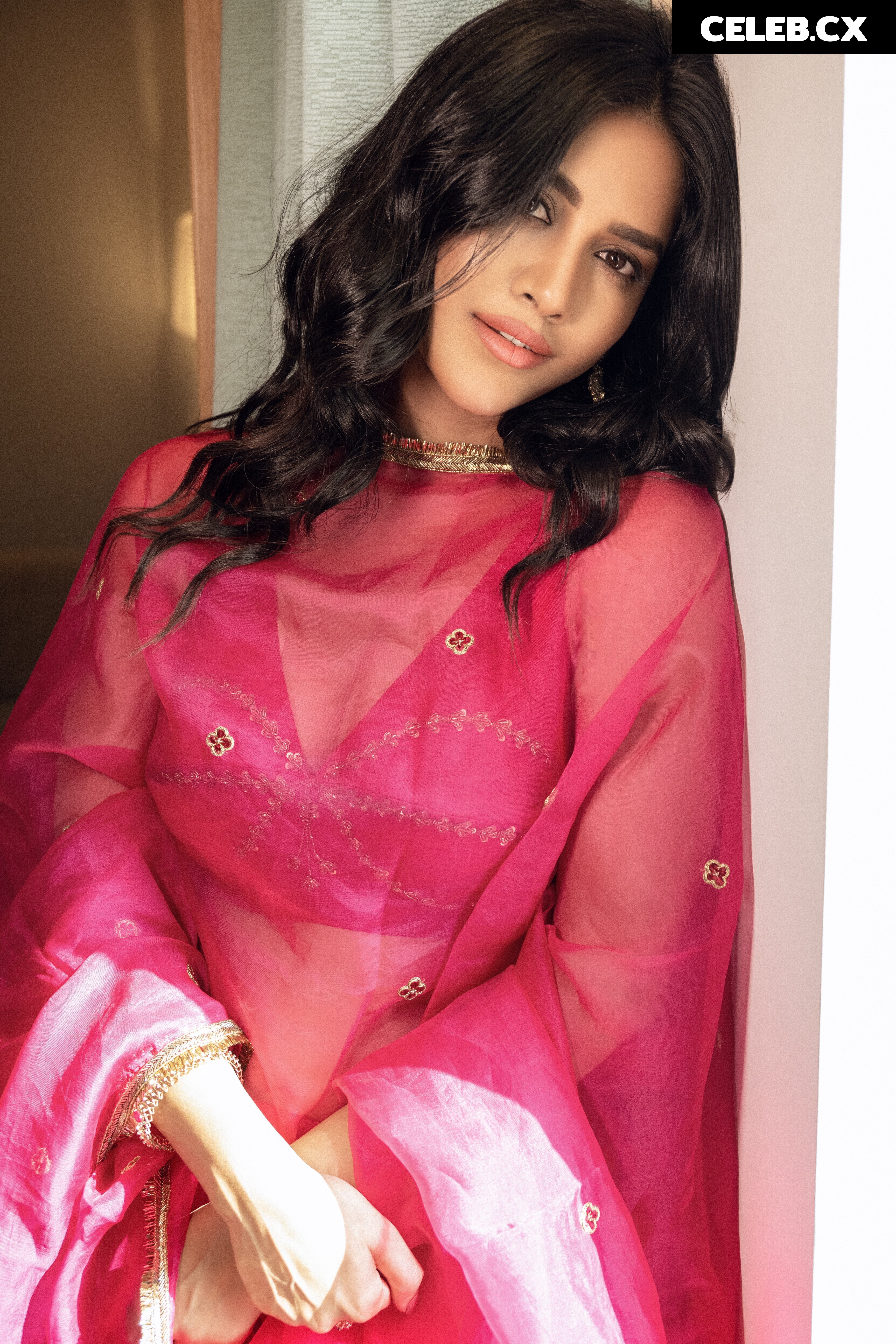 Nabha Natesh Image 6964497