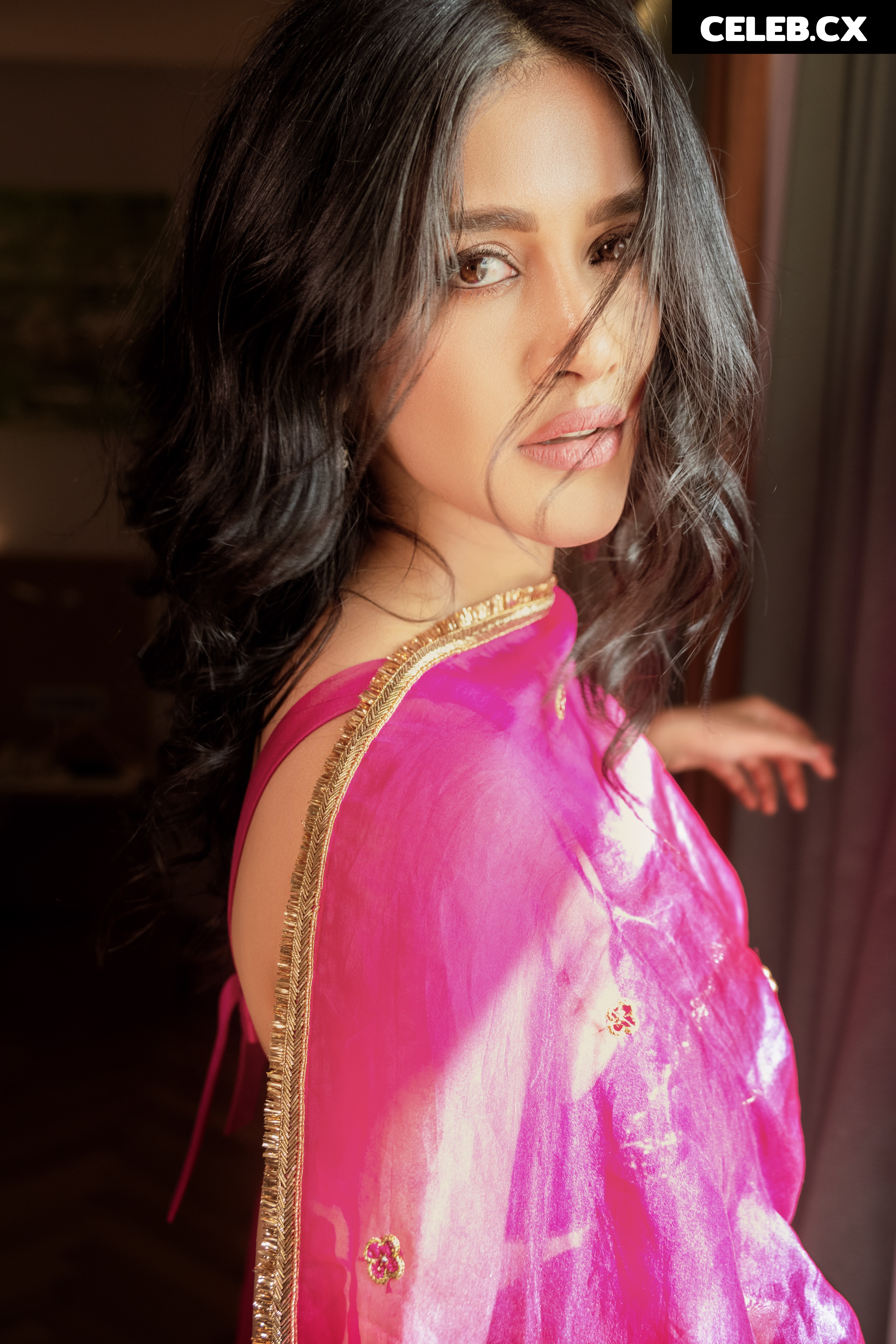 Nabha Natesh Image 6964467