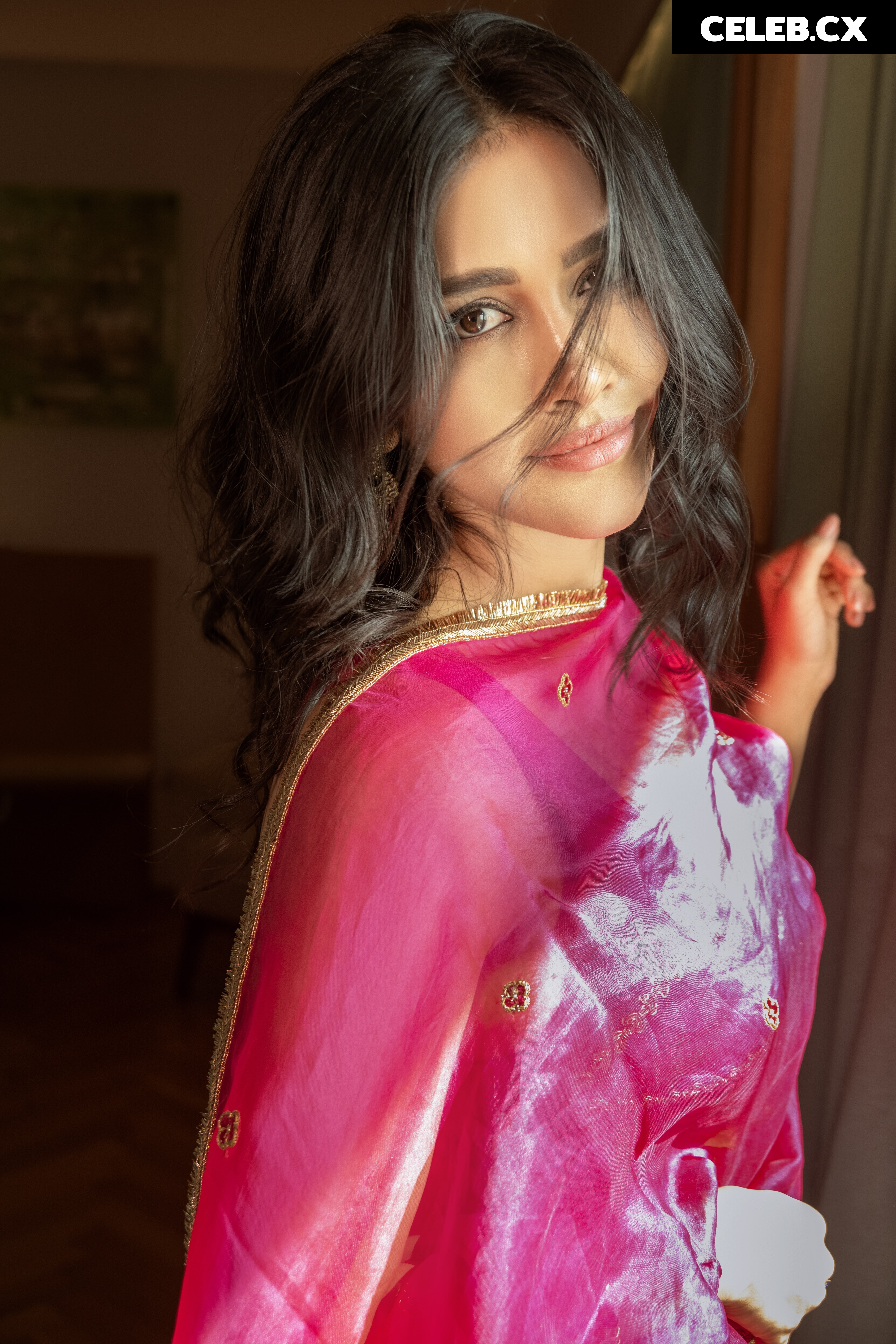 Nabha Natesh Image 6964420