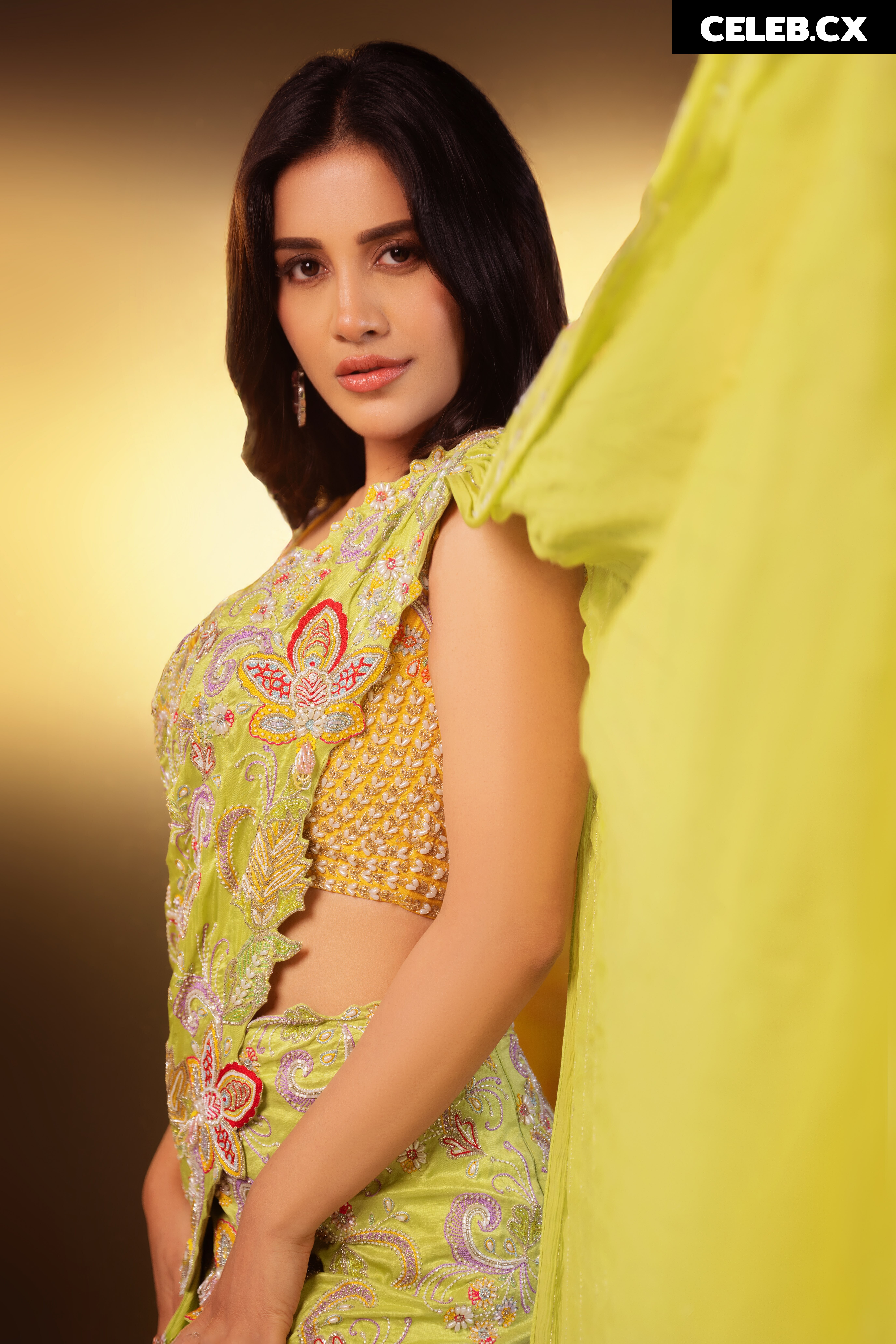 Nabha Natesh Image 6964665