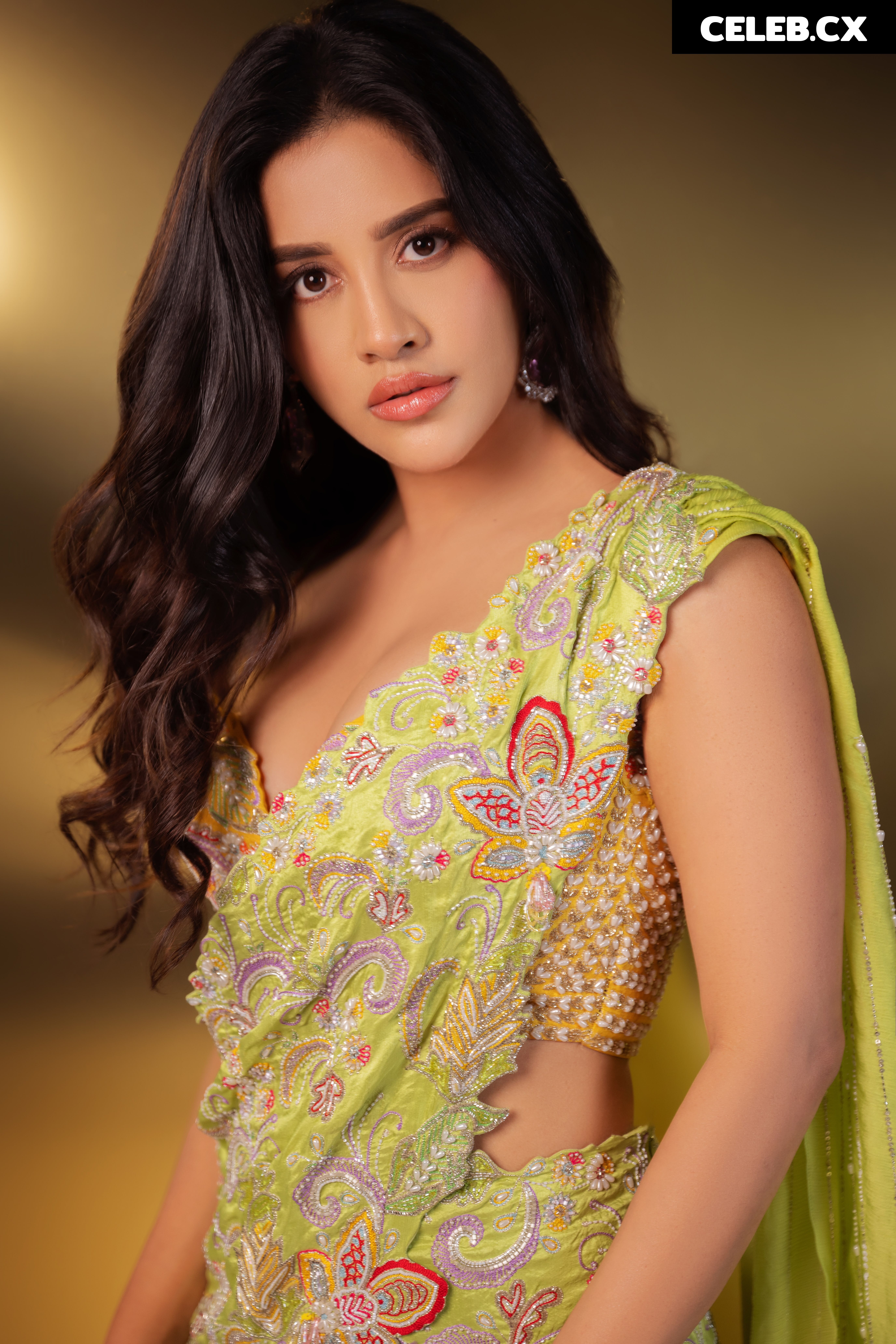 Nabha Natesh Image 6964601