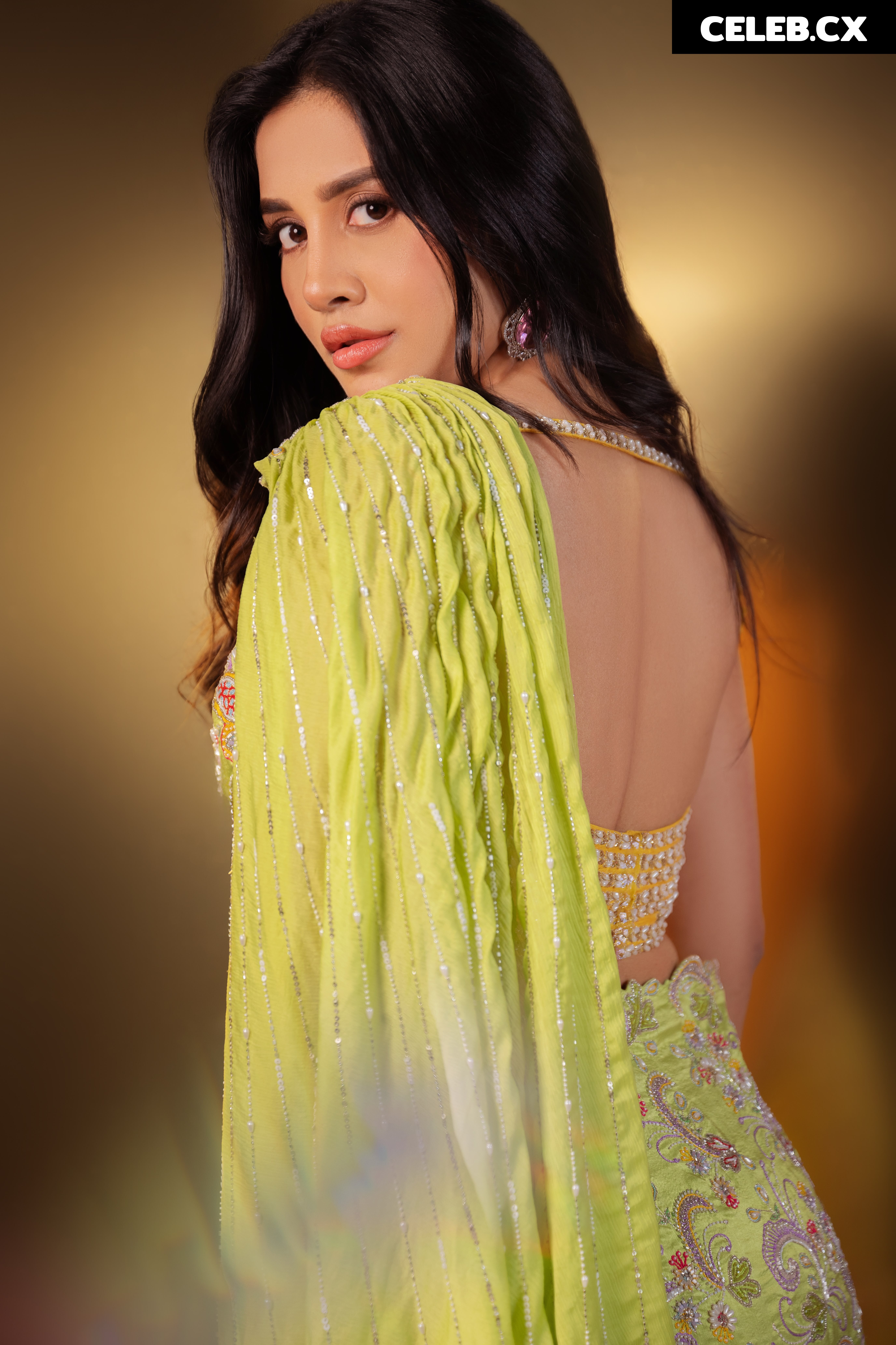 Nabha Natesh Image 6964620
