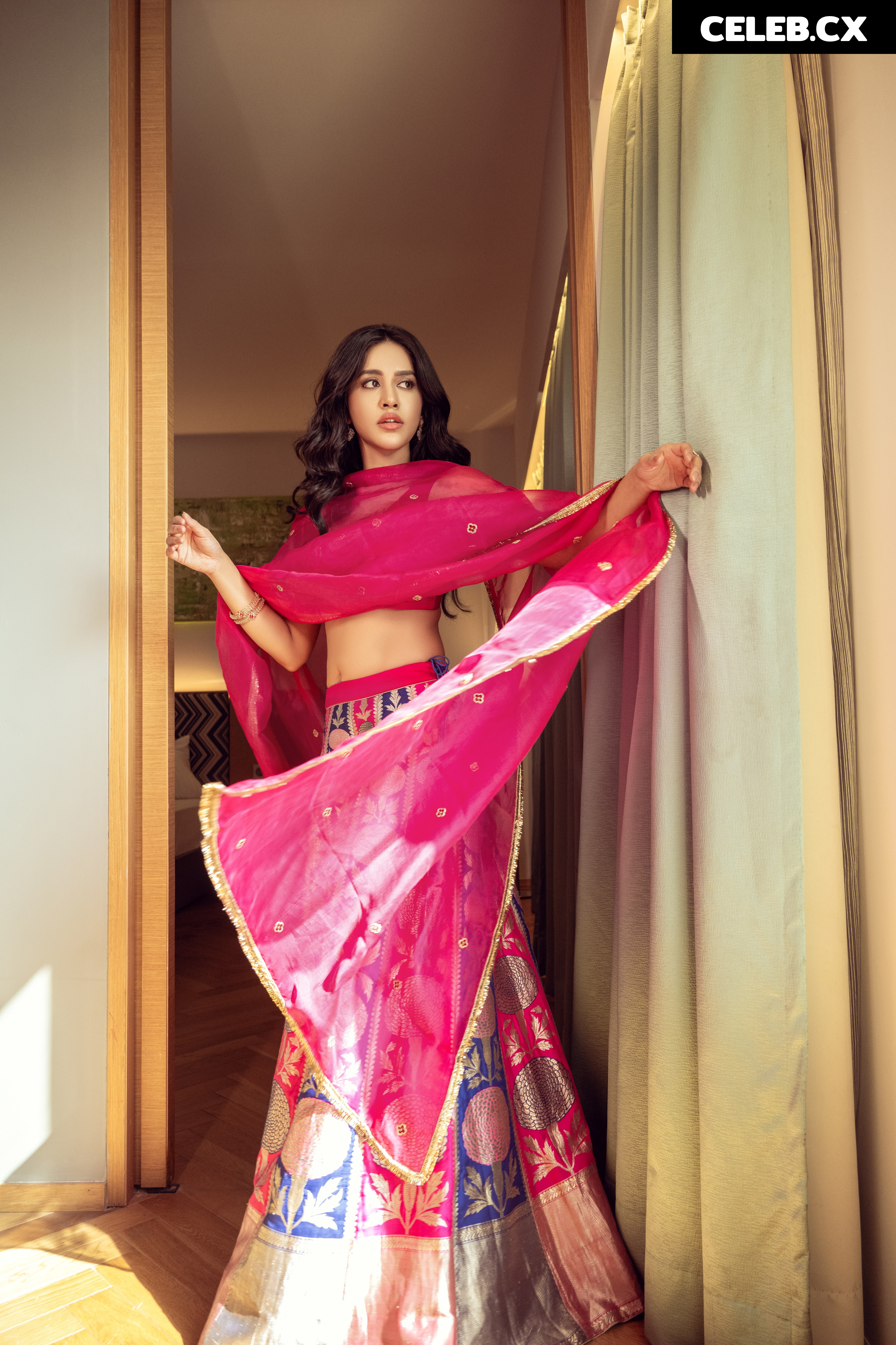 Nabha Natesh Image 6964370