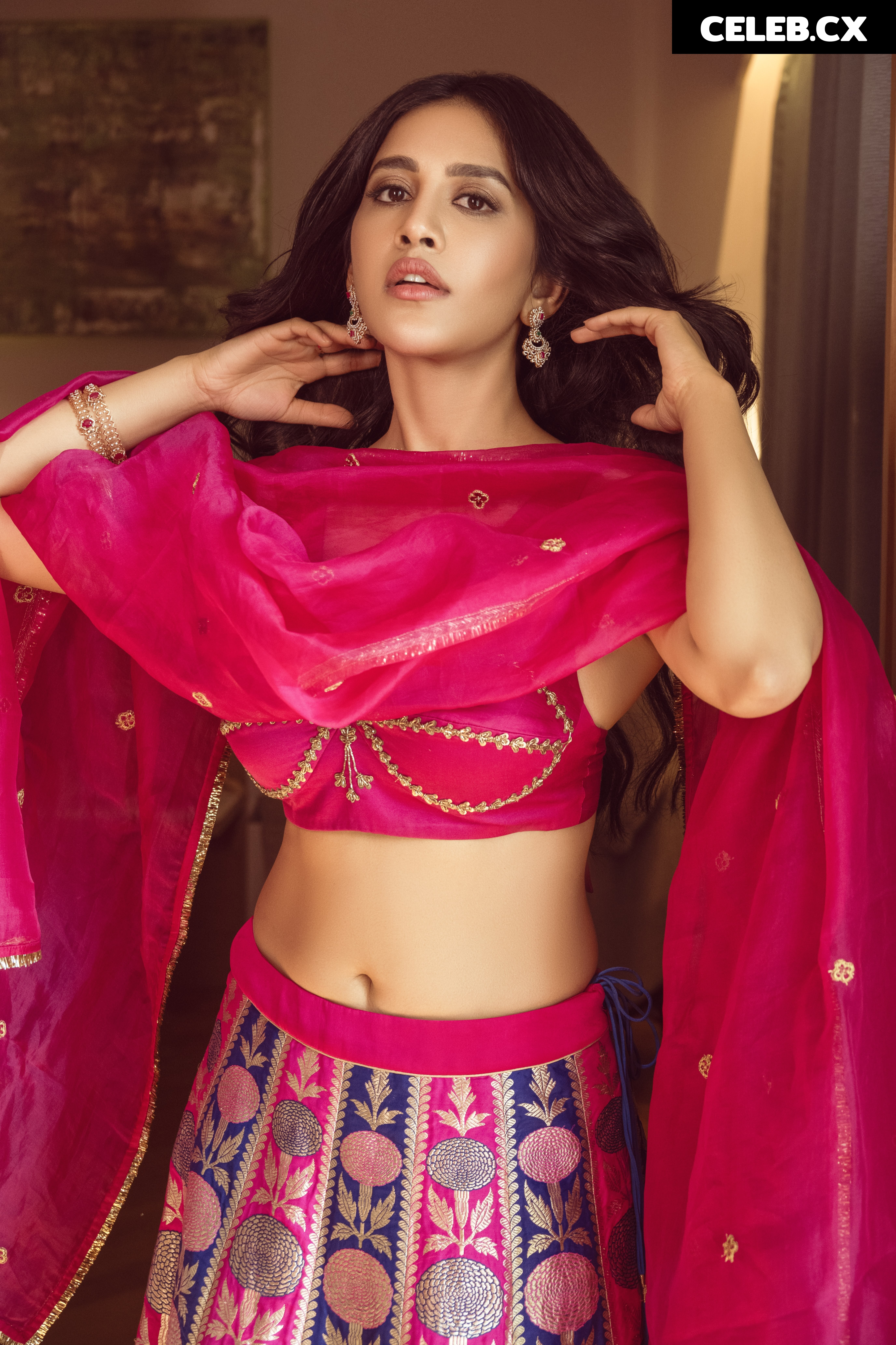 Nabha Natesh Image 6964320