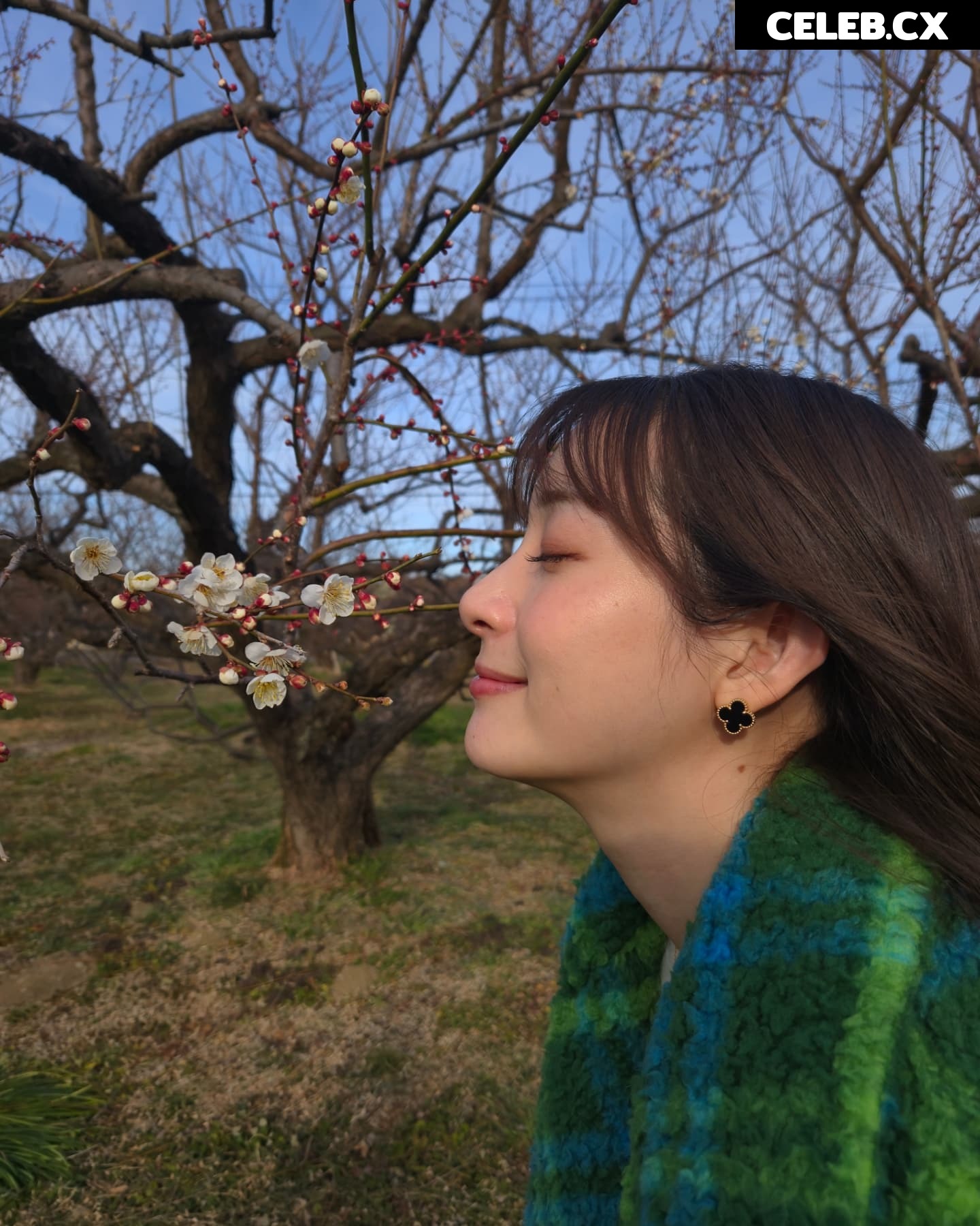 Rika Adachi / 足立 梨花 / adacchee Image 6937573