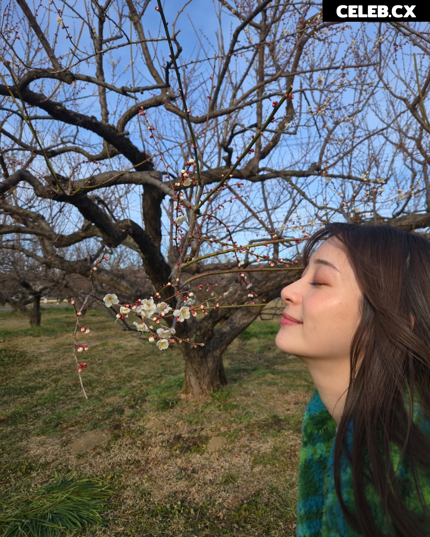 Rika Adachi / 足立 梨花 / adacchee Image 6937664