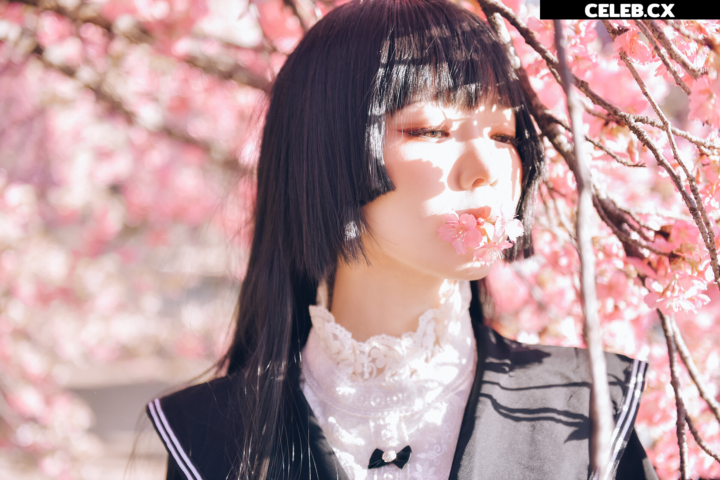 eeelyeee (Ely Cosplay) Image 6455278