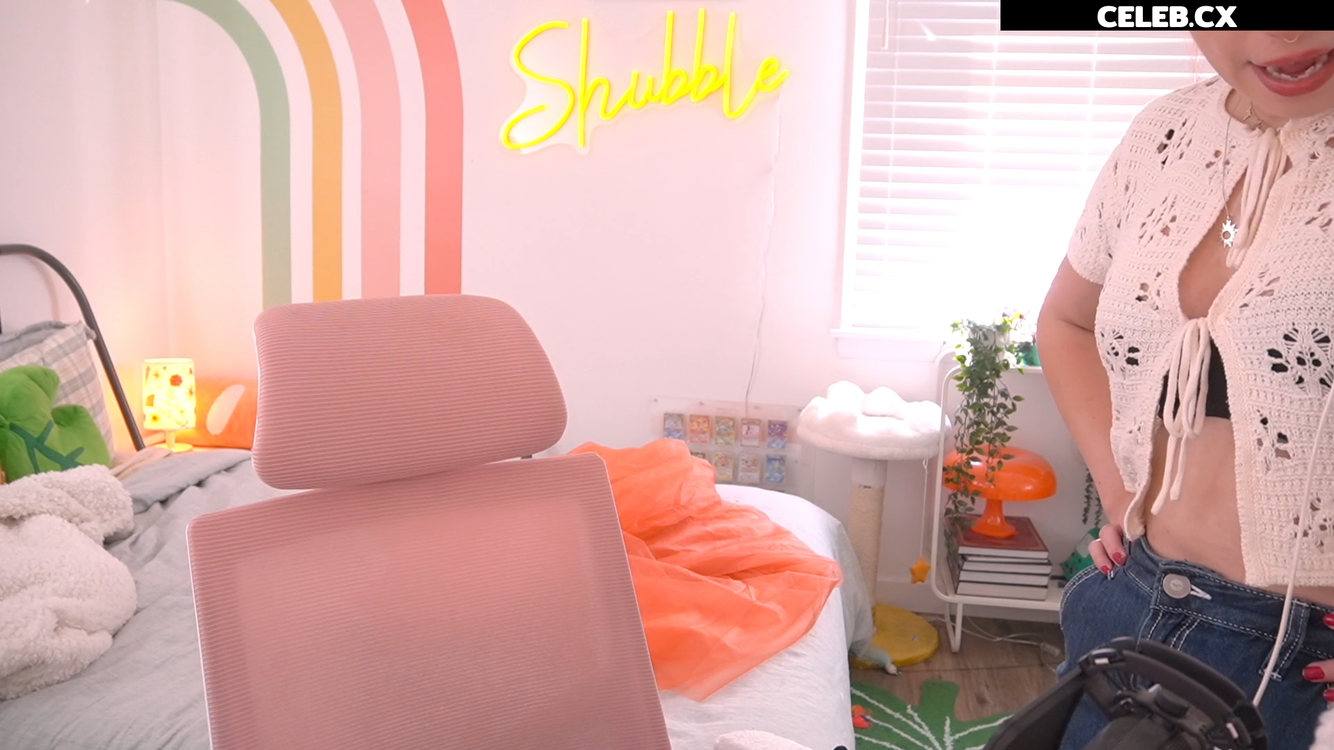 Shubble Image 6456856