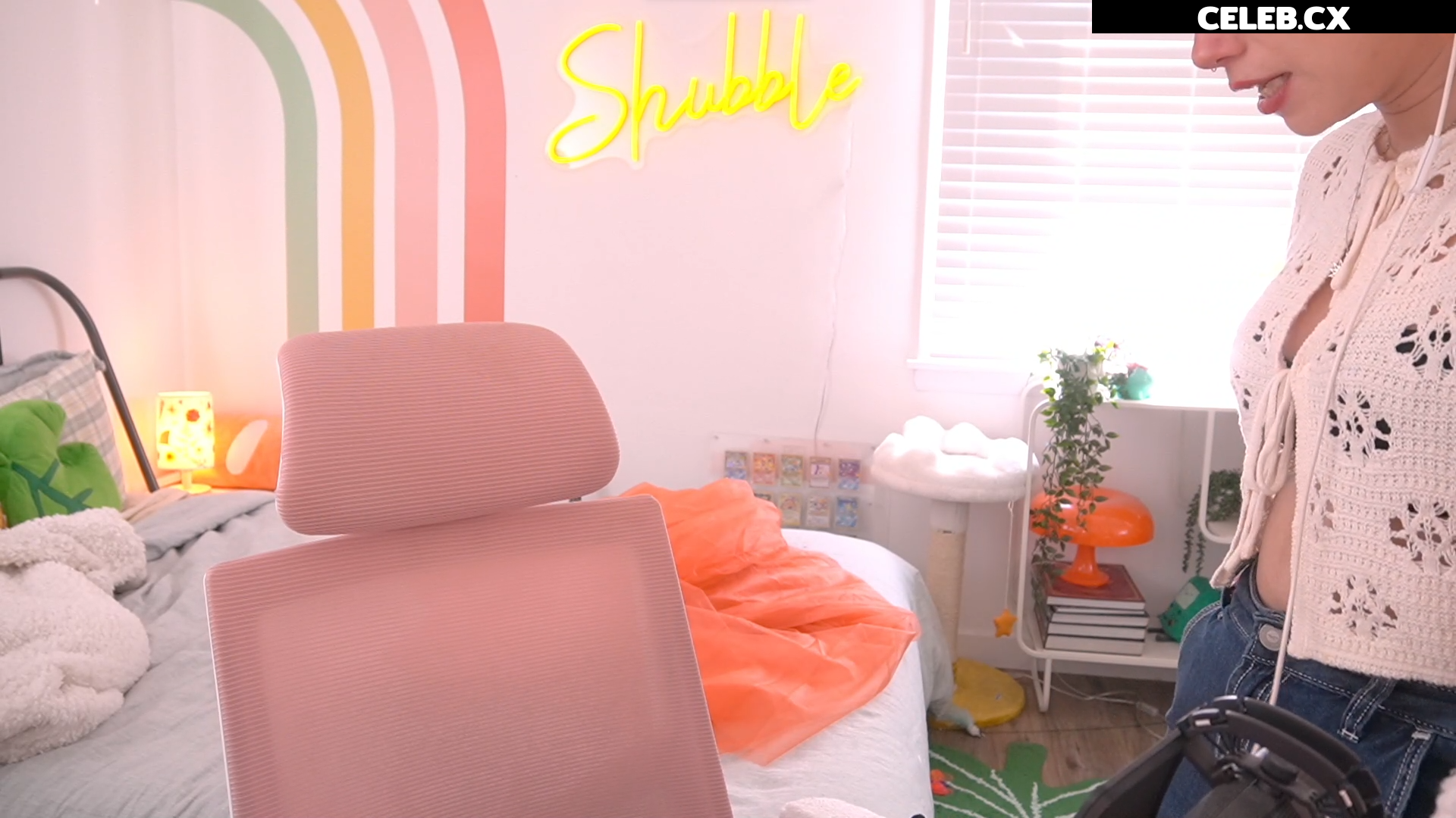 Shubble Image 6456841