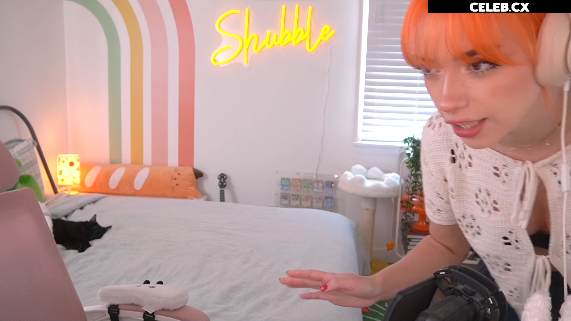 Shubble Image 6456804