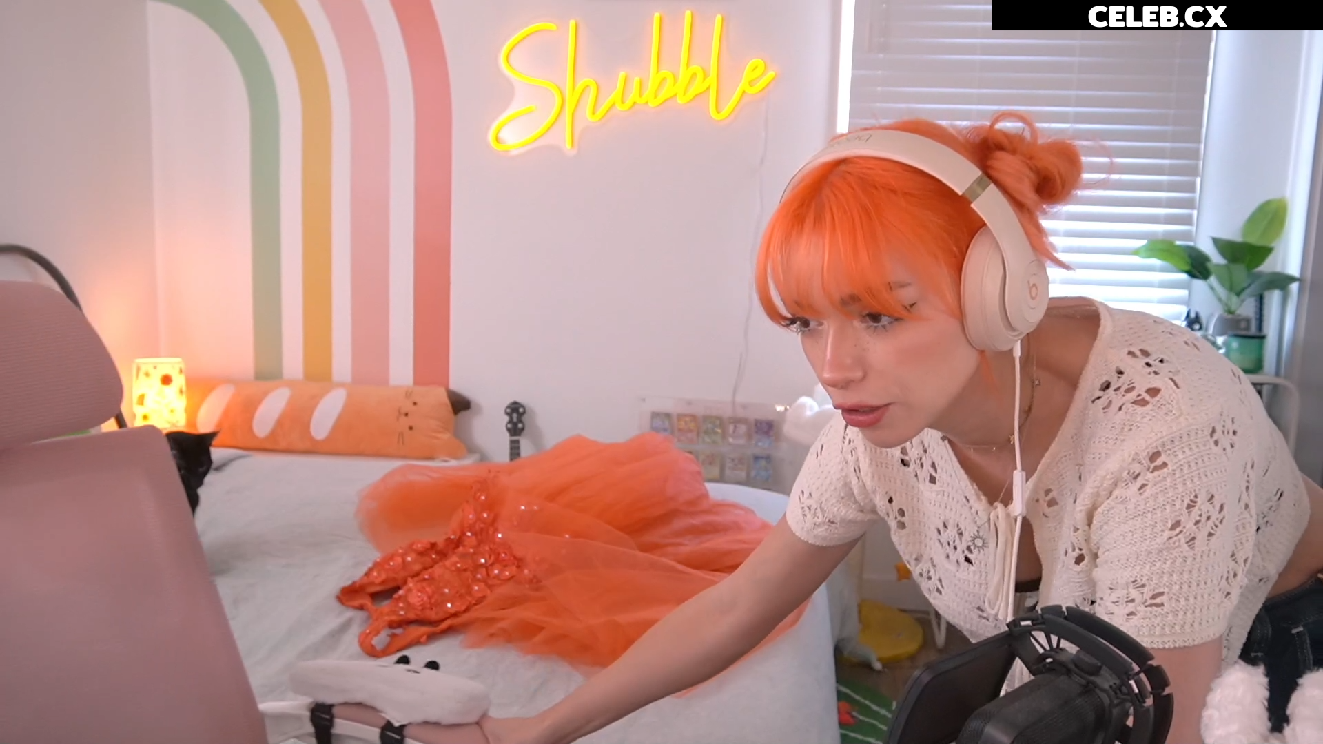 Shubble Image 6456830
