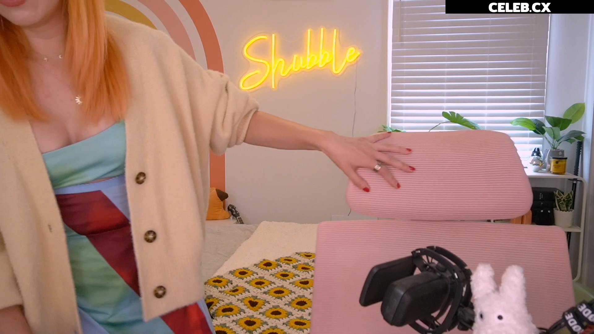 Shubble Image 6456482
