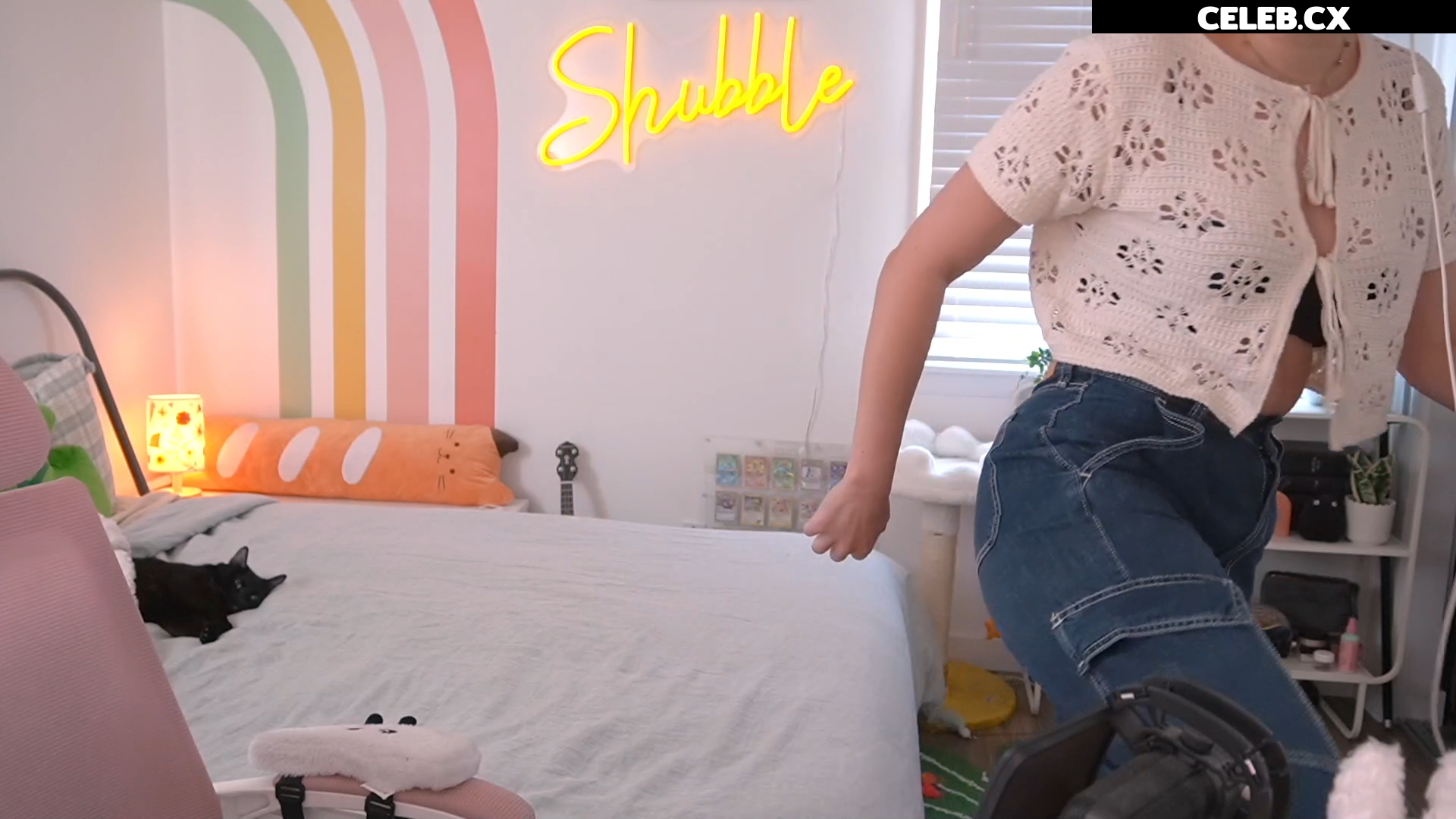 Shubble Image 6456721