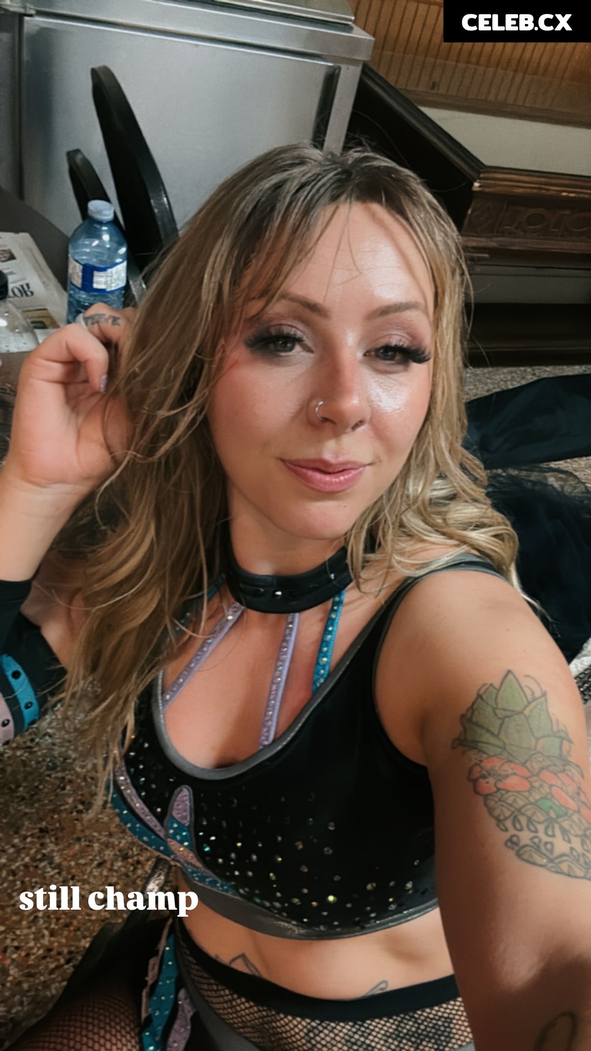 Women of Professional Wrestling Image 6582466