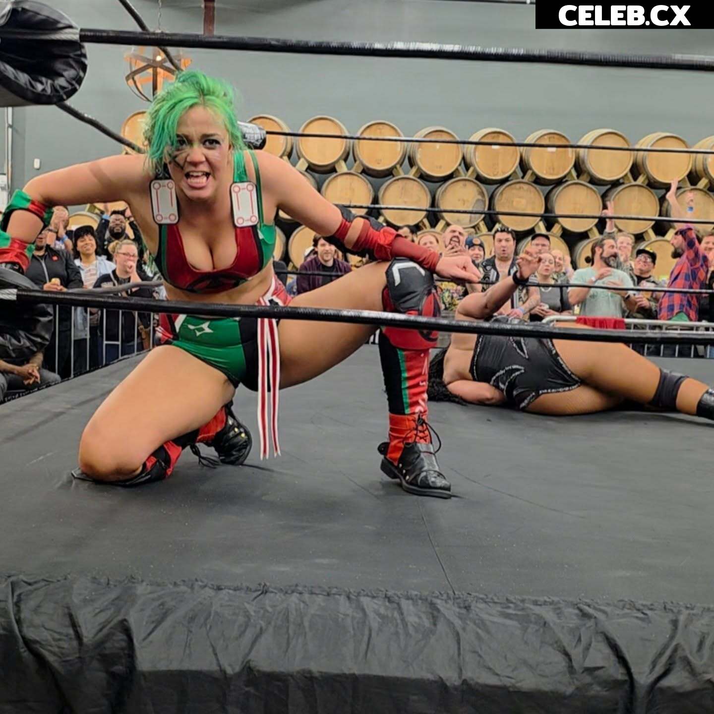 Women of Professional Wrestling Image 6582242