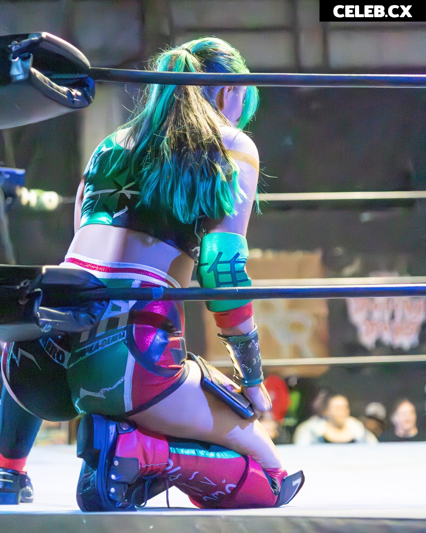 Women of Professional Wrestling Image 6582260