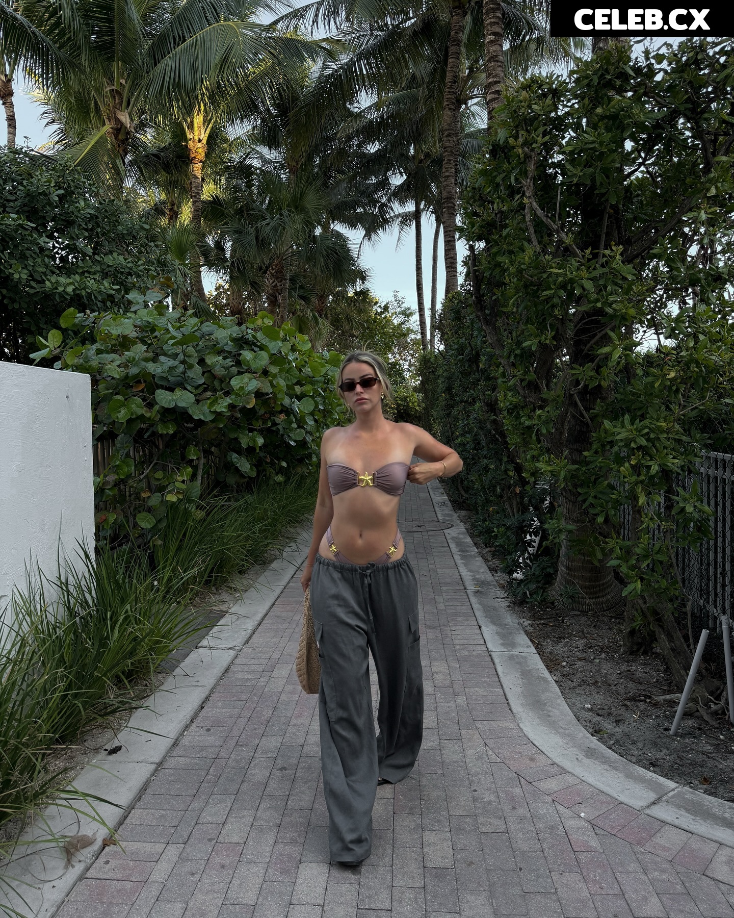 Elizabeth Weber/Ewebzz Image 6530612
