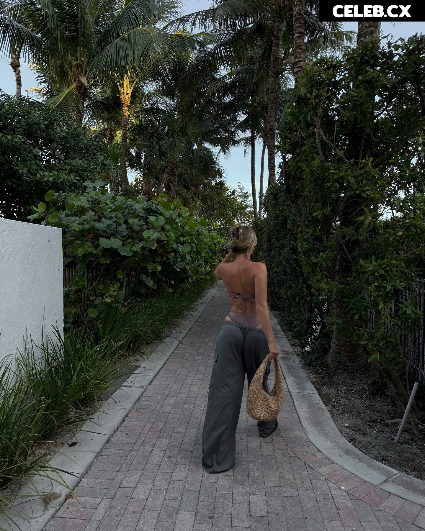 Elizabeth Weber/Ewebzz Image 6530603