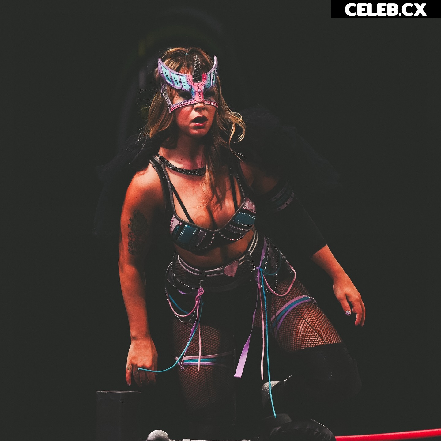 Women of Professional Wrestling Image 6521115