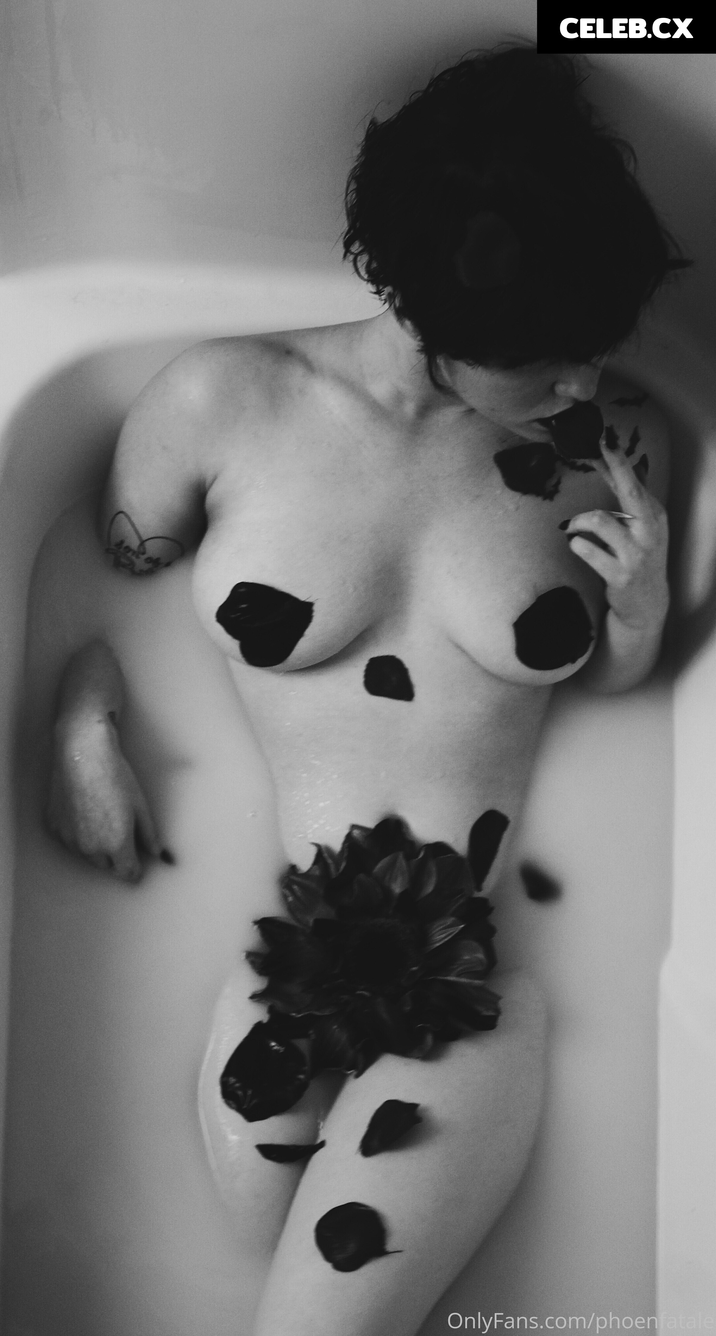 Phoenfatale | Vampiriczlut Image 6668072