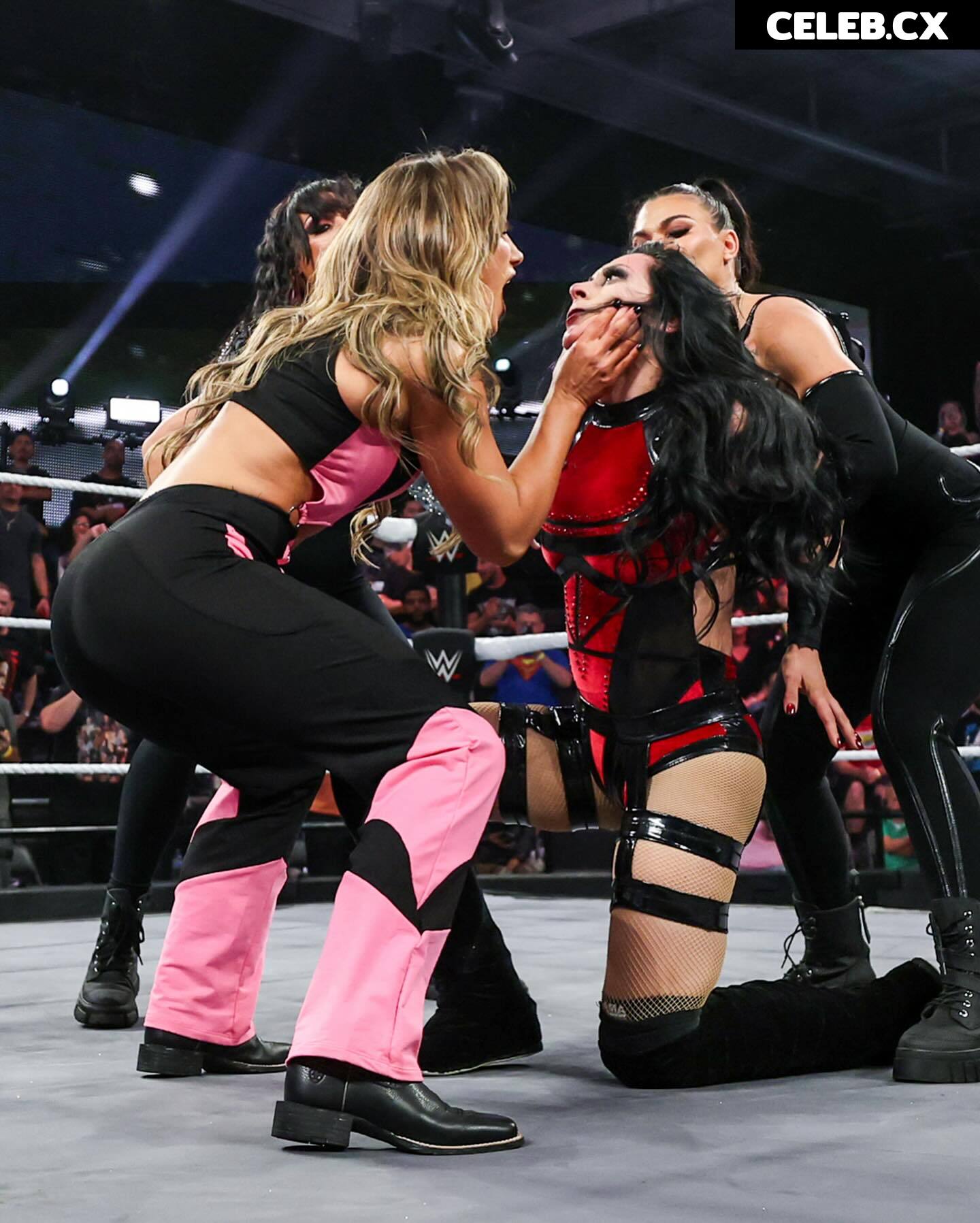 Women of Professional Wrestling Image 6647840