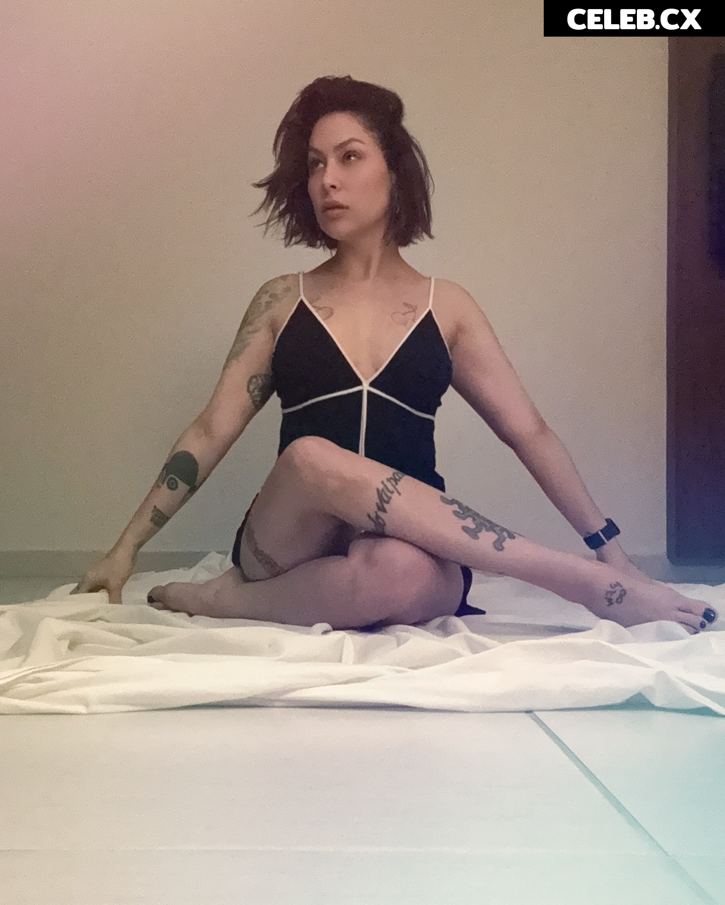 Pitty Image 6785288