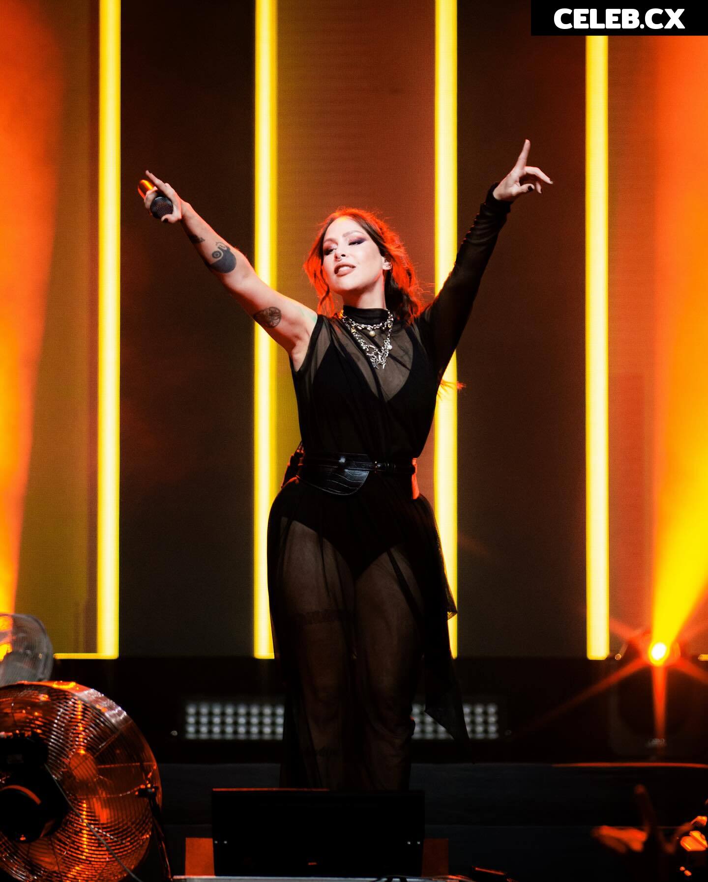Pitty Image 6787570