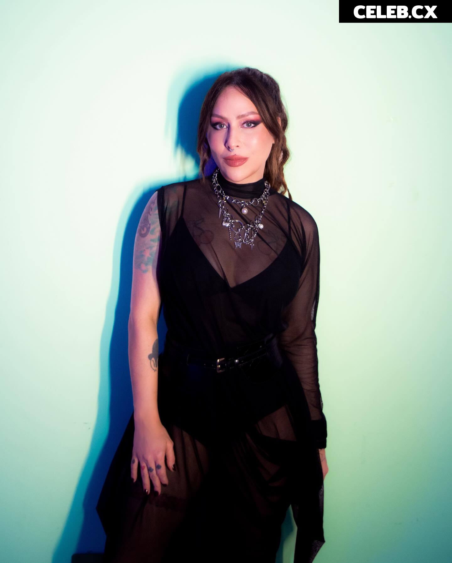 Pitty Image 6787403
