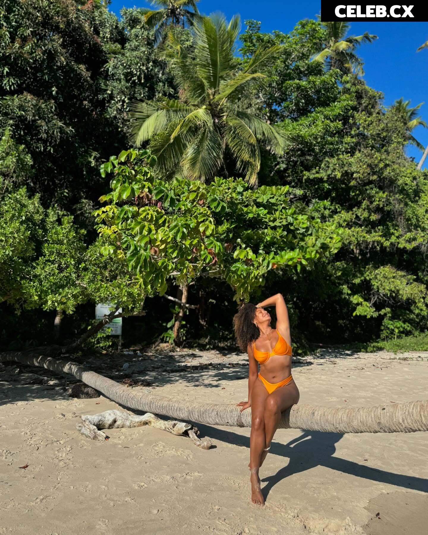 Sheron Menezes Image 6778864