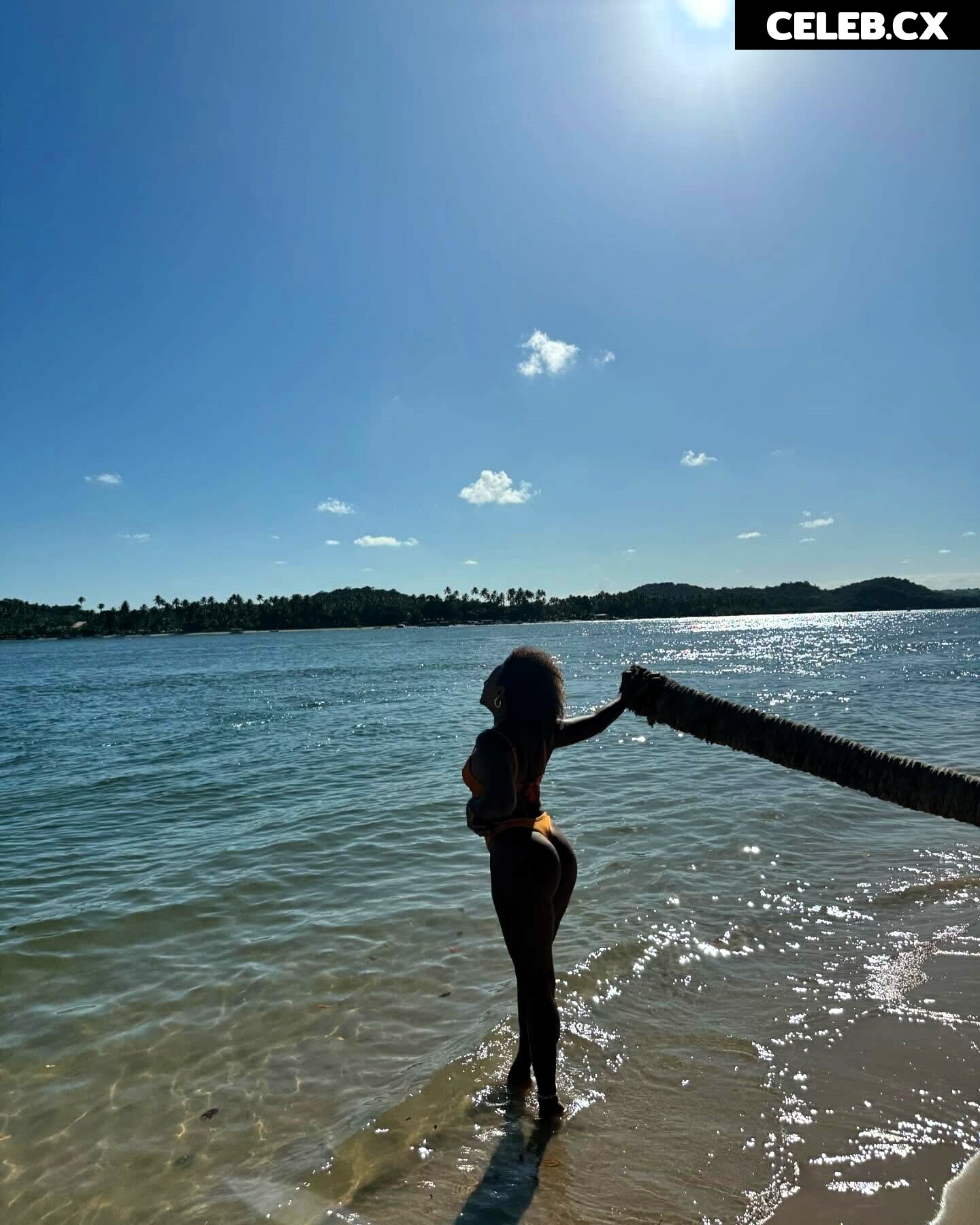 Sheron Menezes Image 6778739