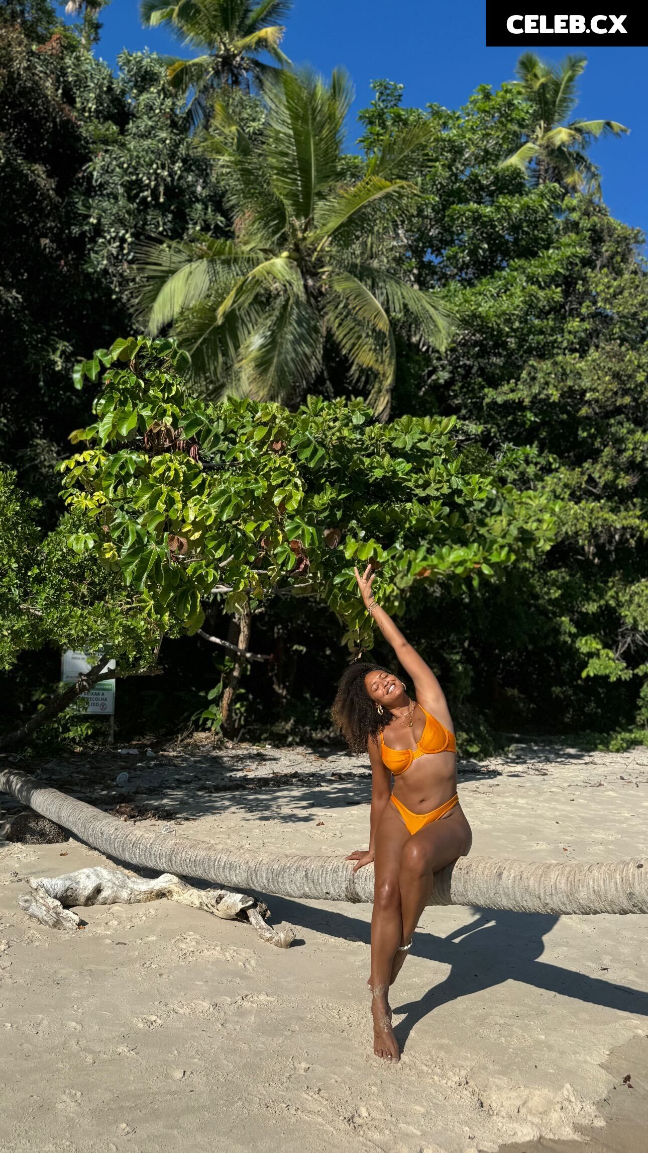 Sheron Menezes Image 6778379