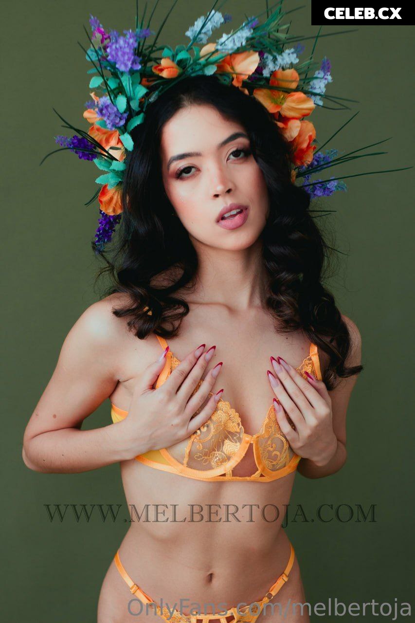 Mel Bertoja Image 6765023