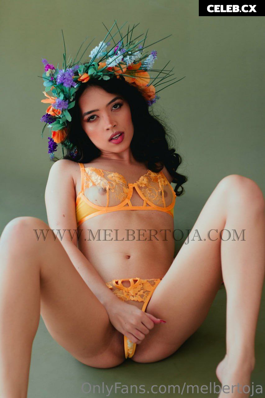 Mel Bertoja Image 6764863