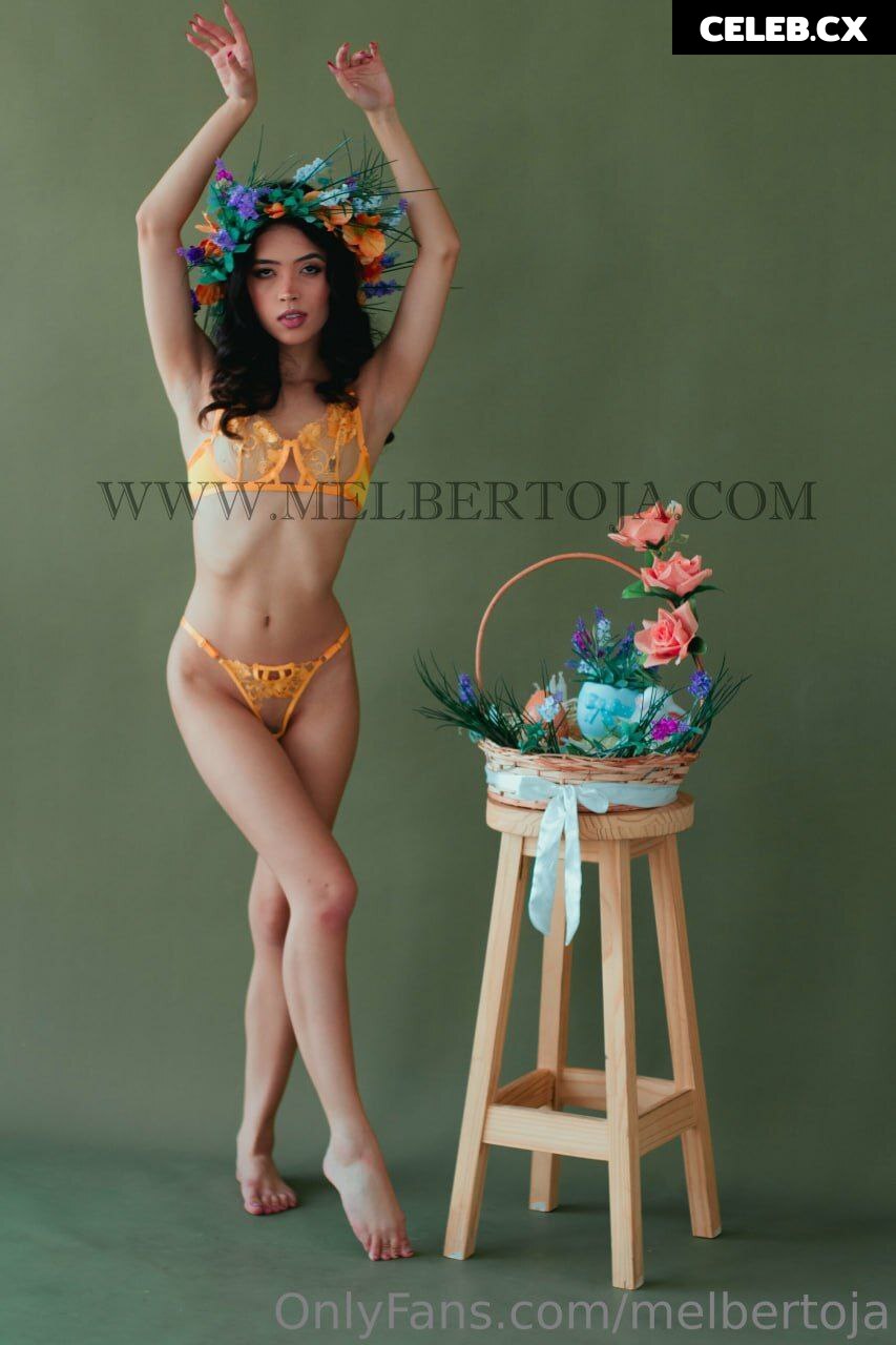 Mel Bertoja Image 6764984