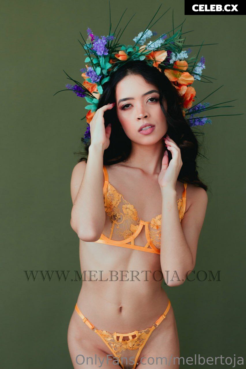 Mel Bertoja Image 6764907