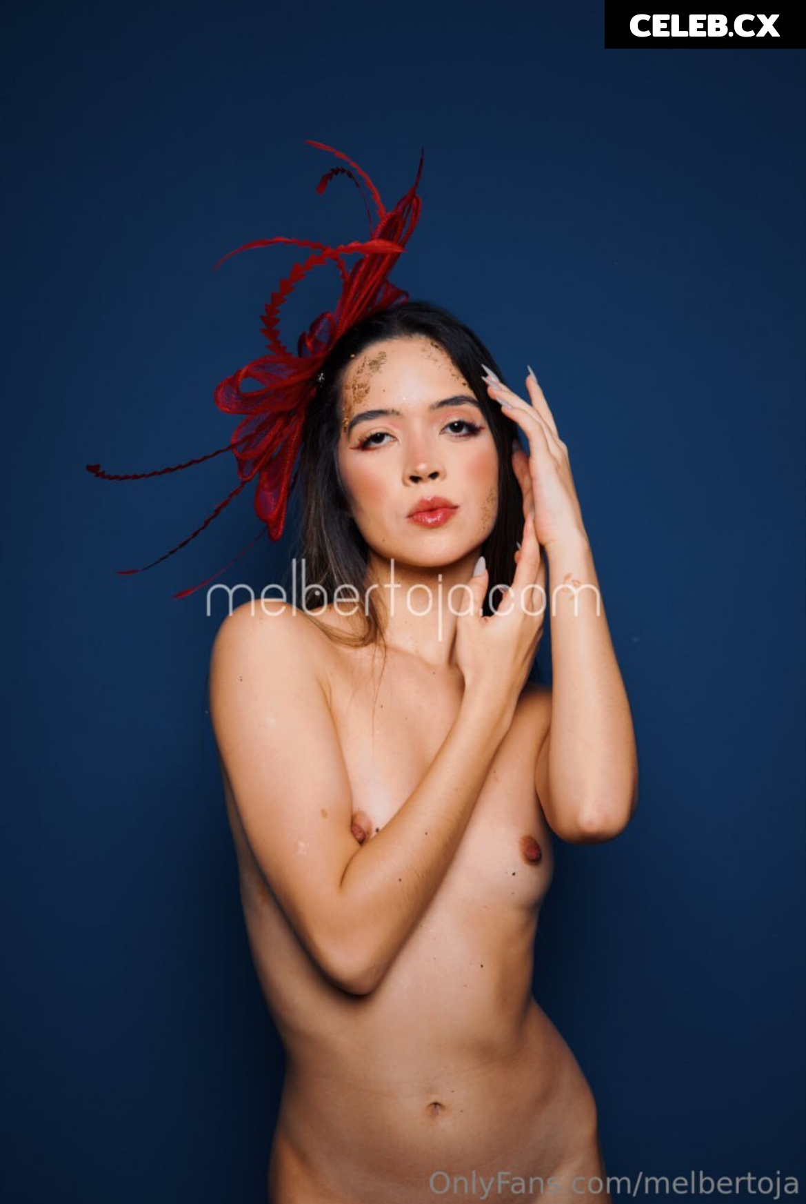 Mel Bertoja Image 6769098
