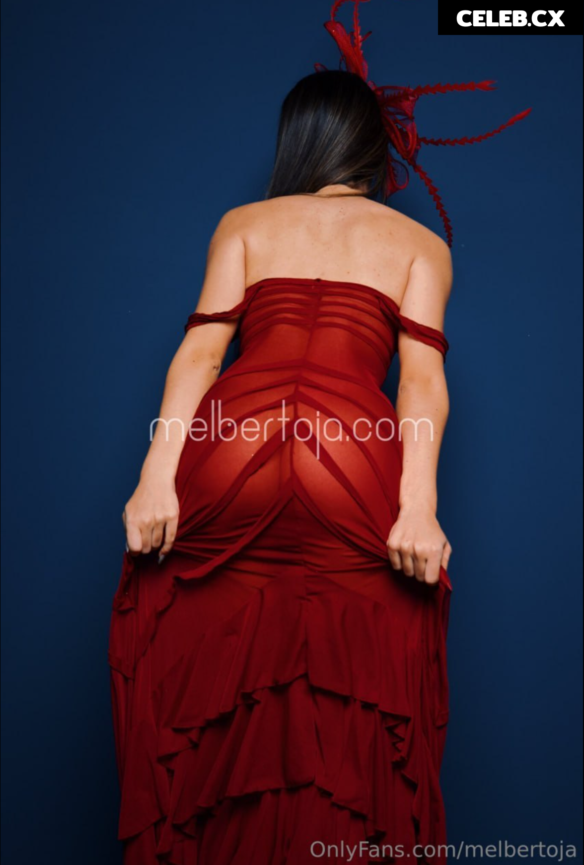 Mel Bertoja Image 6768147