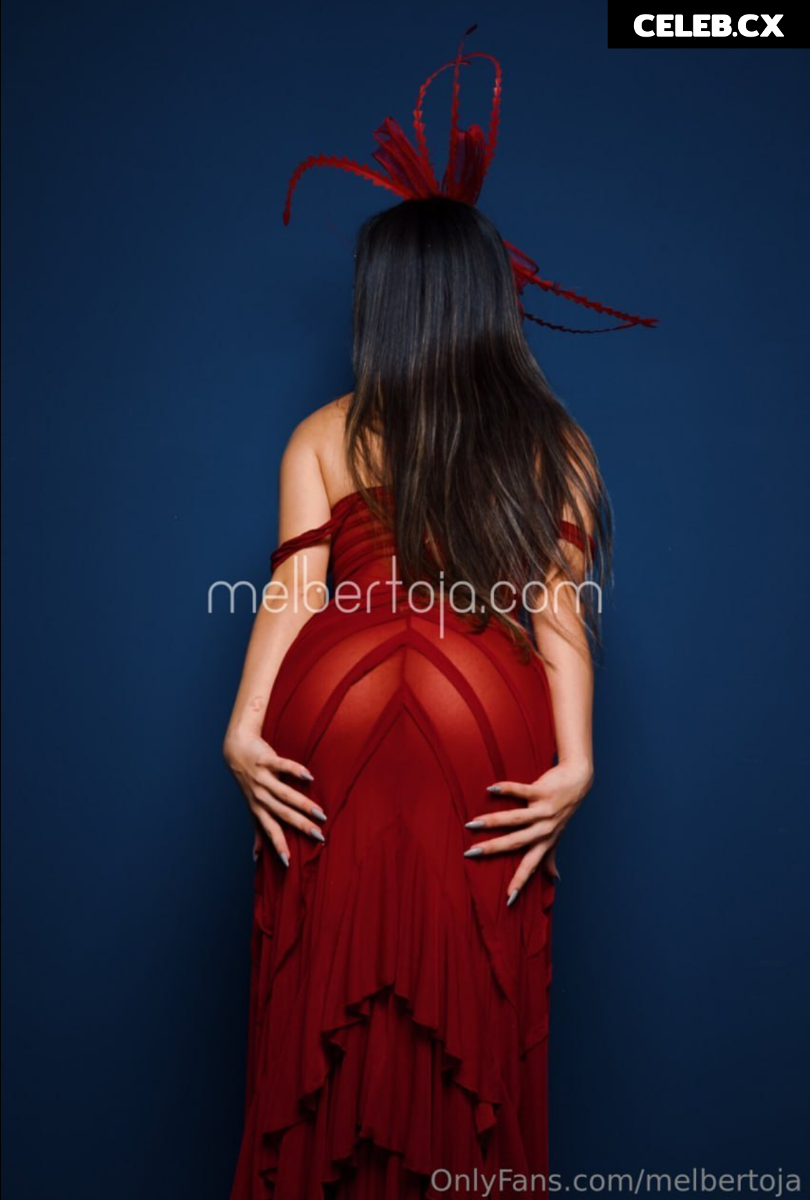 Mel Bertoja Image 6768178