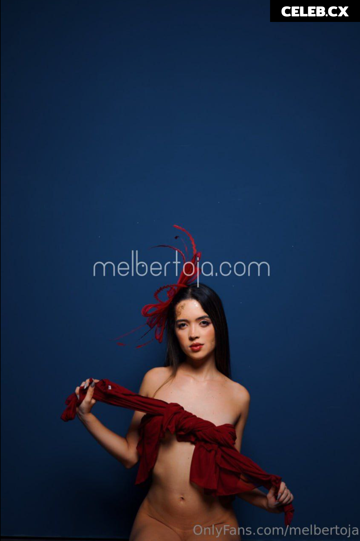 Mel Bertoja Image 6768247