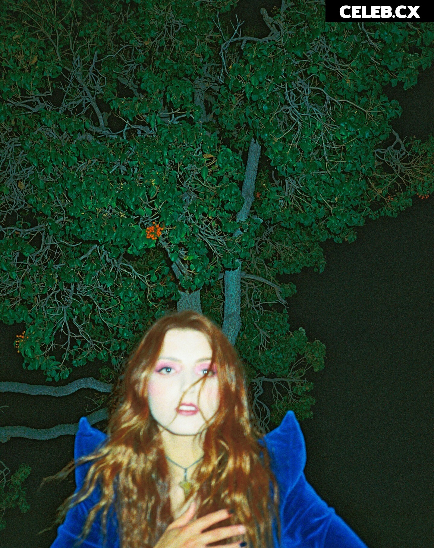 Sloppy Jane Image 6740188