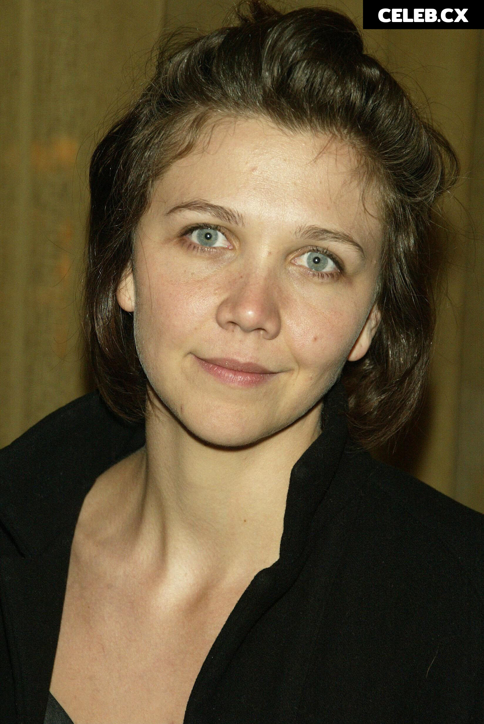Maggie Gylenhall Image 6736556