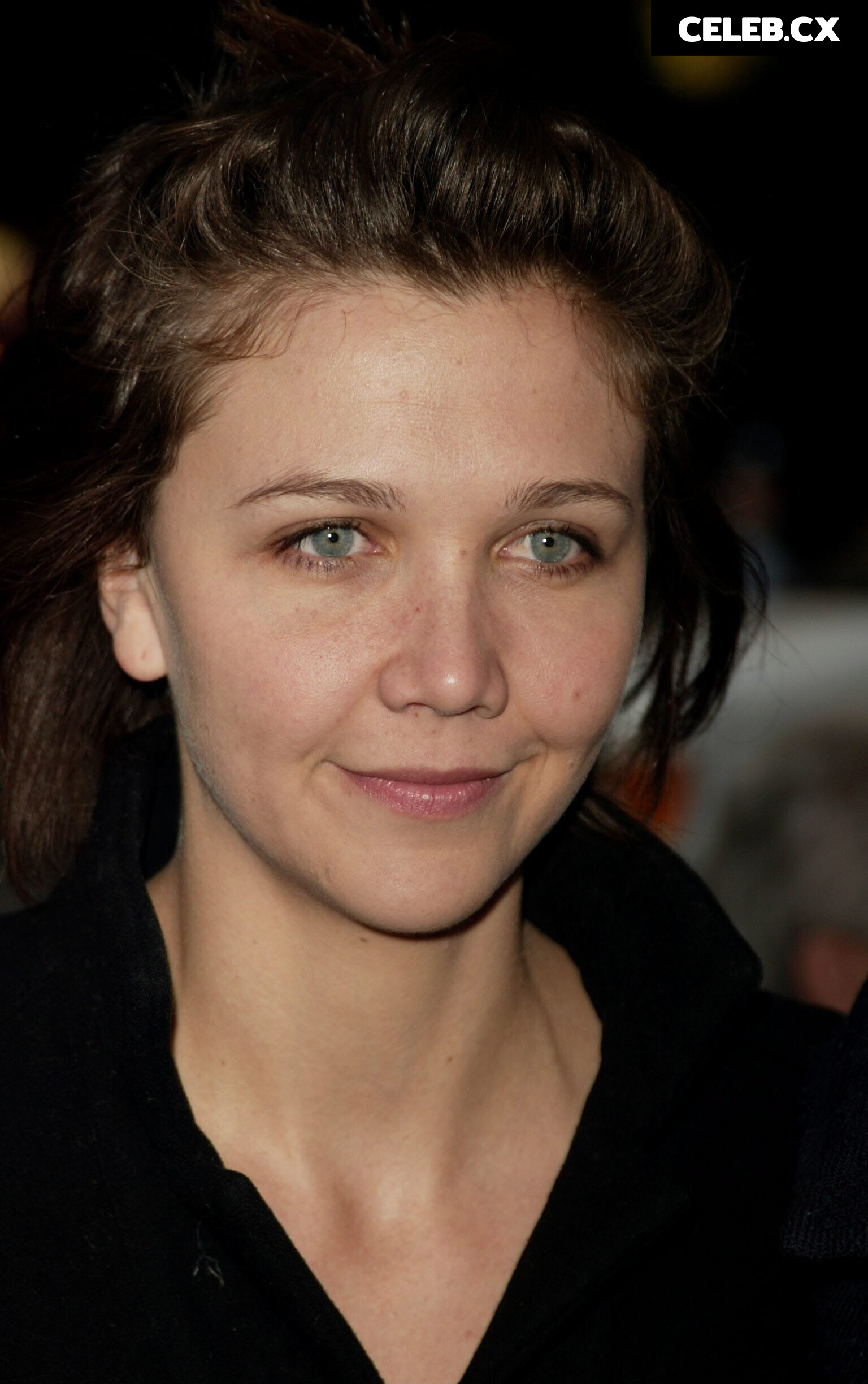 Maggie Gylenhall Image 6736511