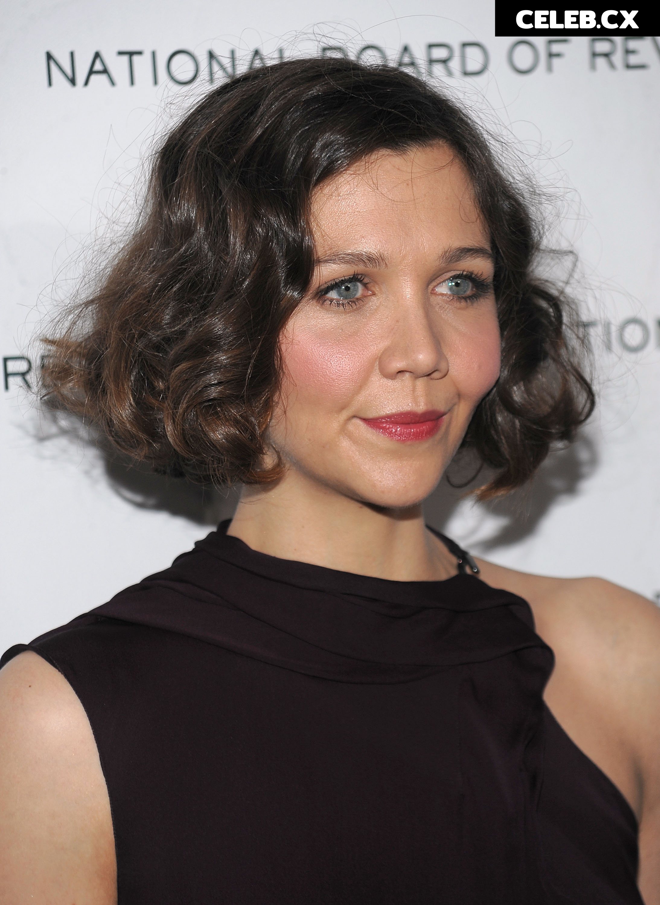 Maggie Gylenhall Image 6736449