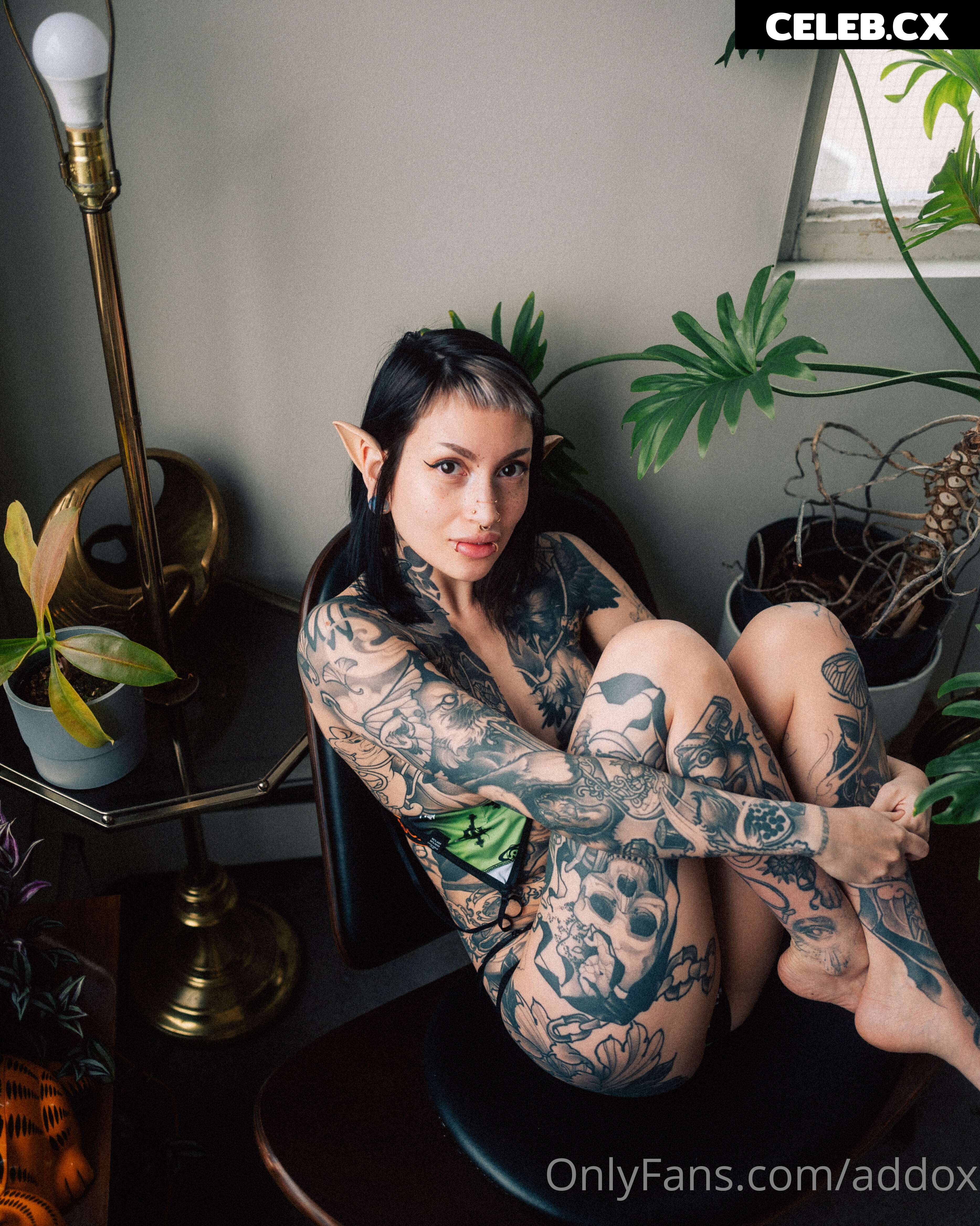 Addox - addoxsux Image 6726361
