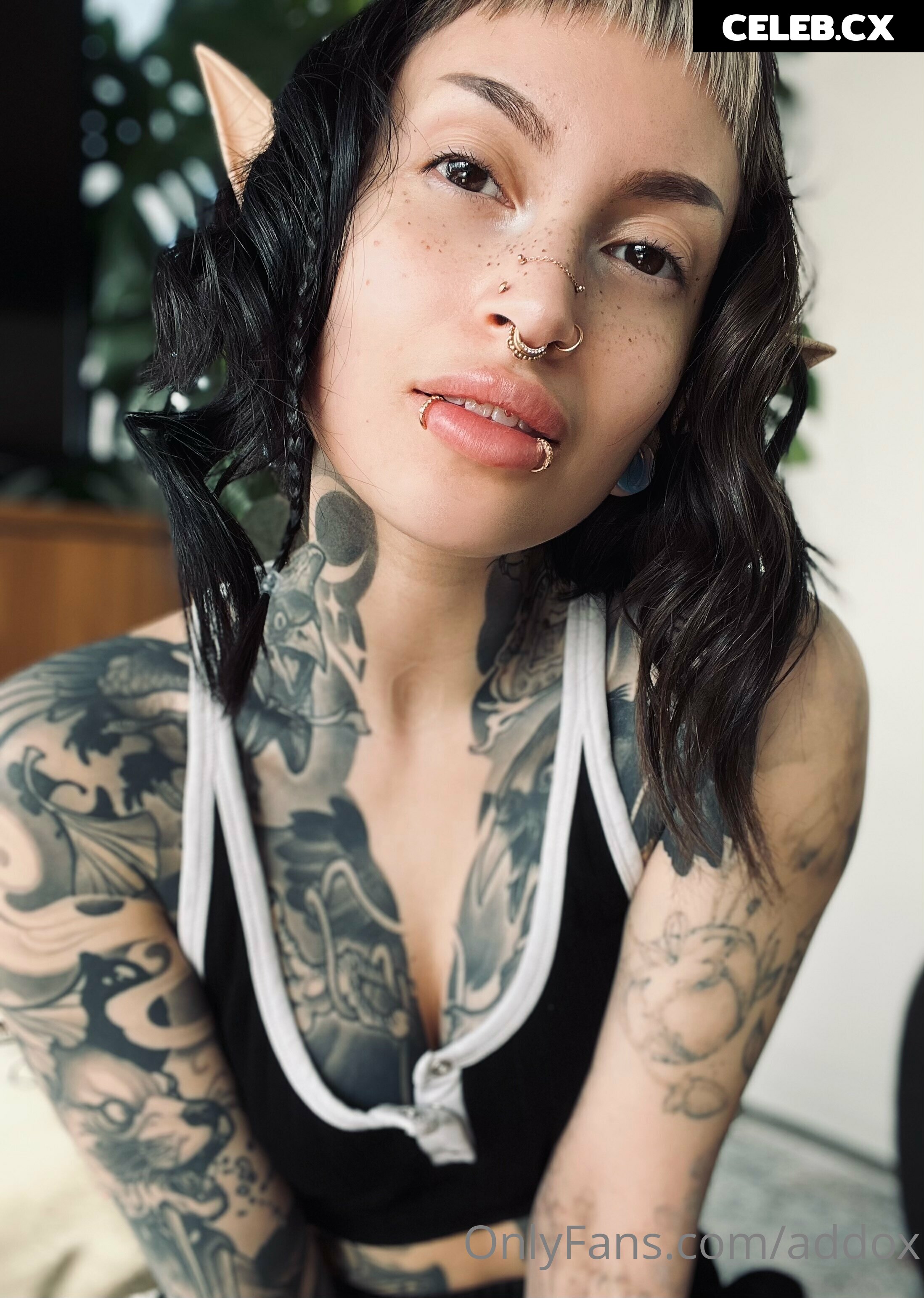 Addox - addoxsux Image 6729433