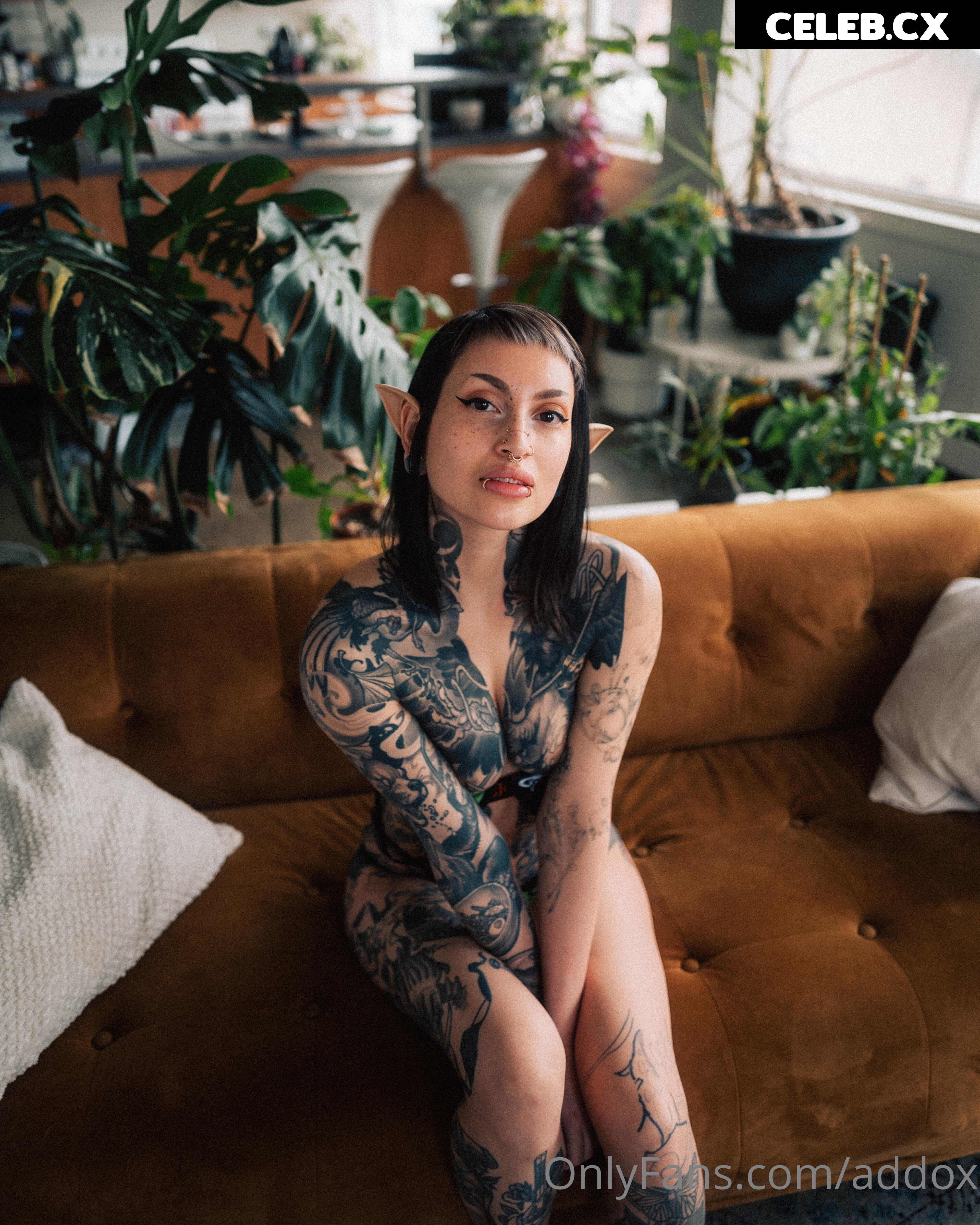 Addox - addoxsux Image 6728215